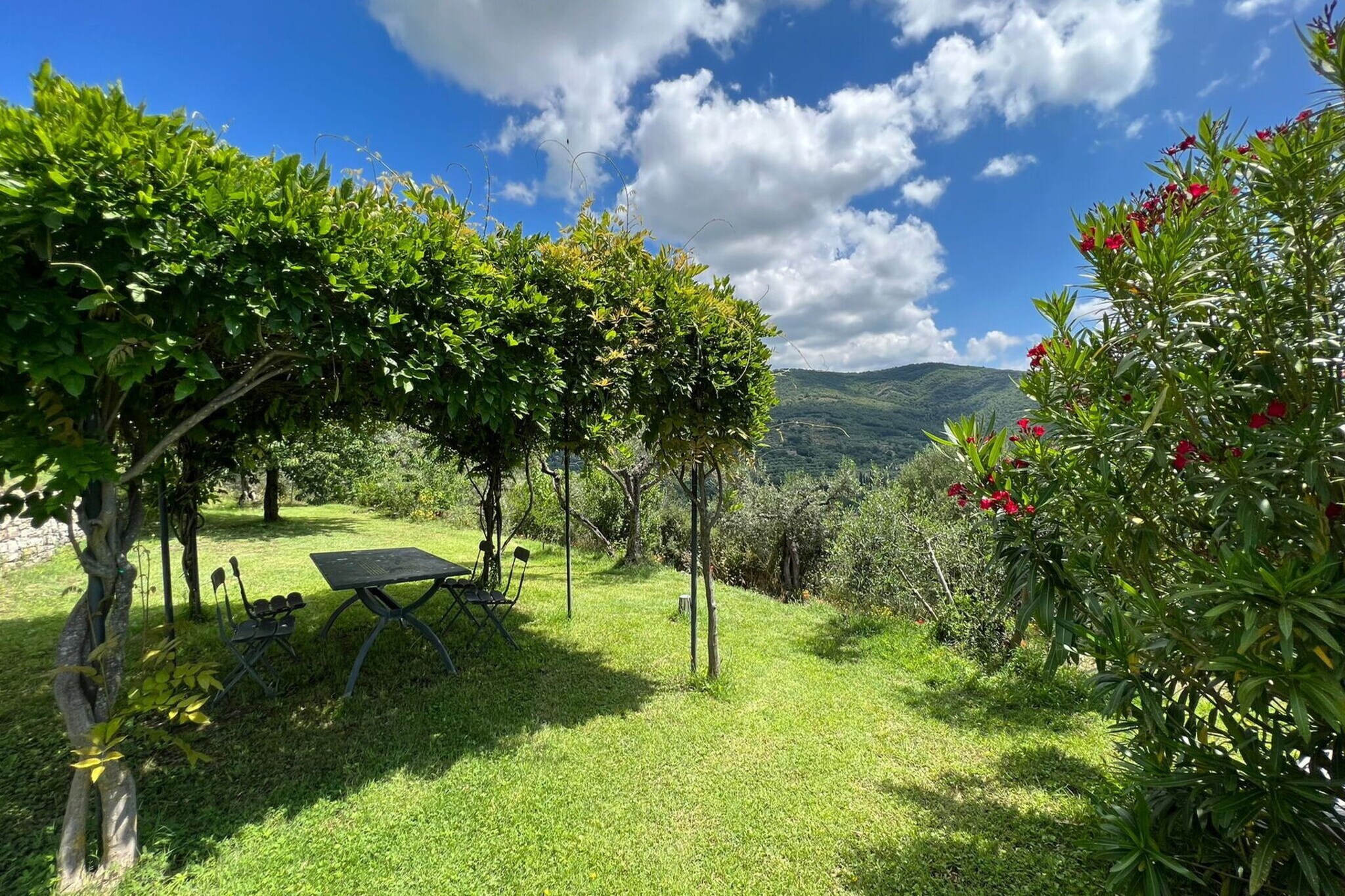 Garden Summer