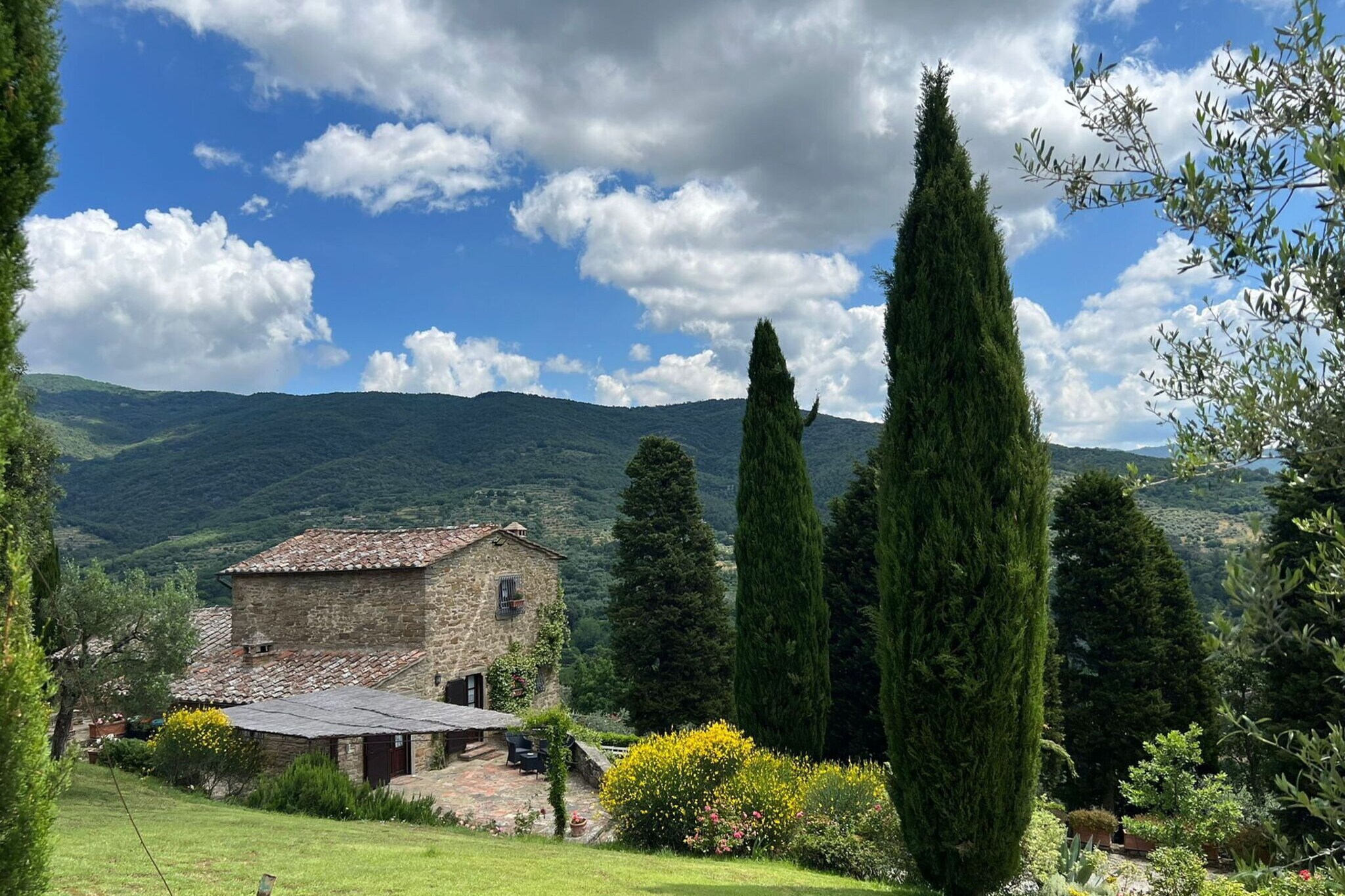 View Summer