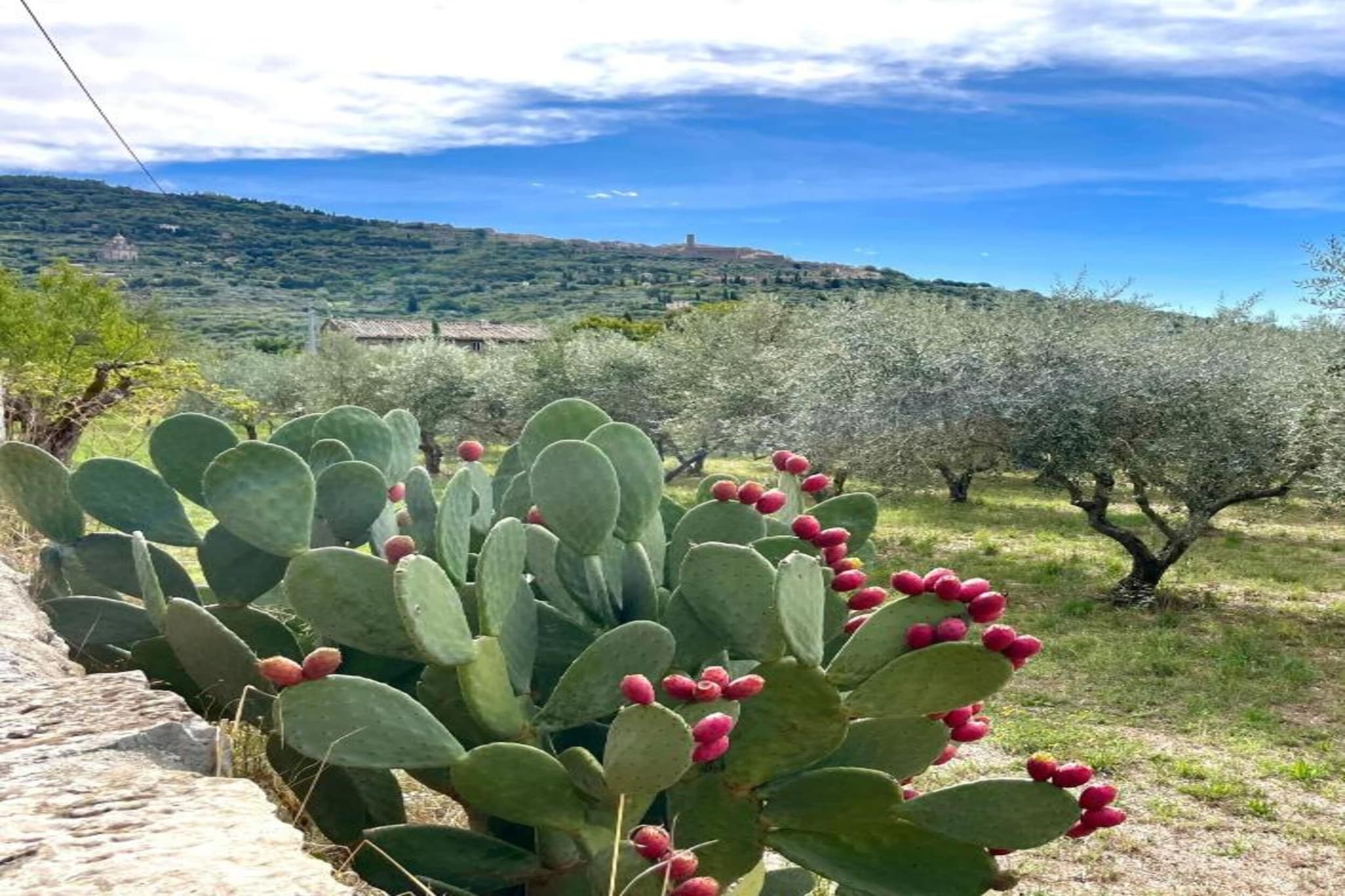 Villa La Montanina-Gebieden zomer 5km