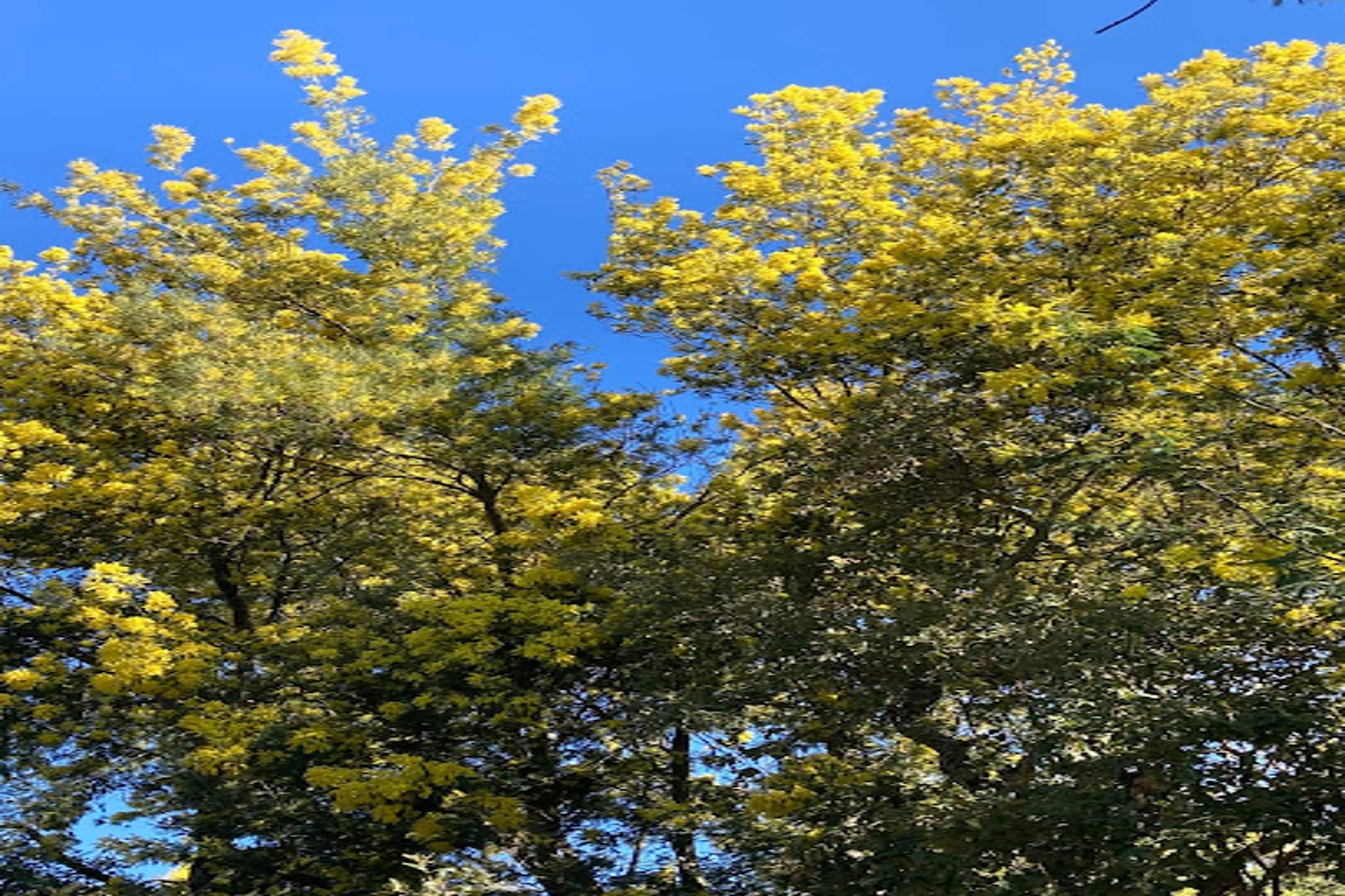 Résidence Vieille Ville-Zones été à 1 km