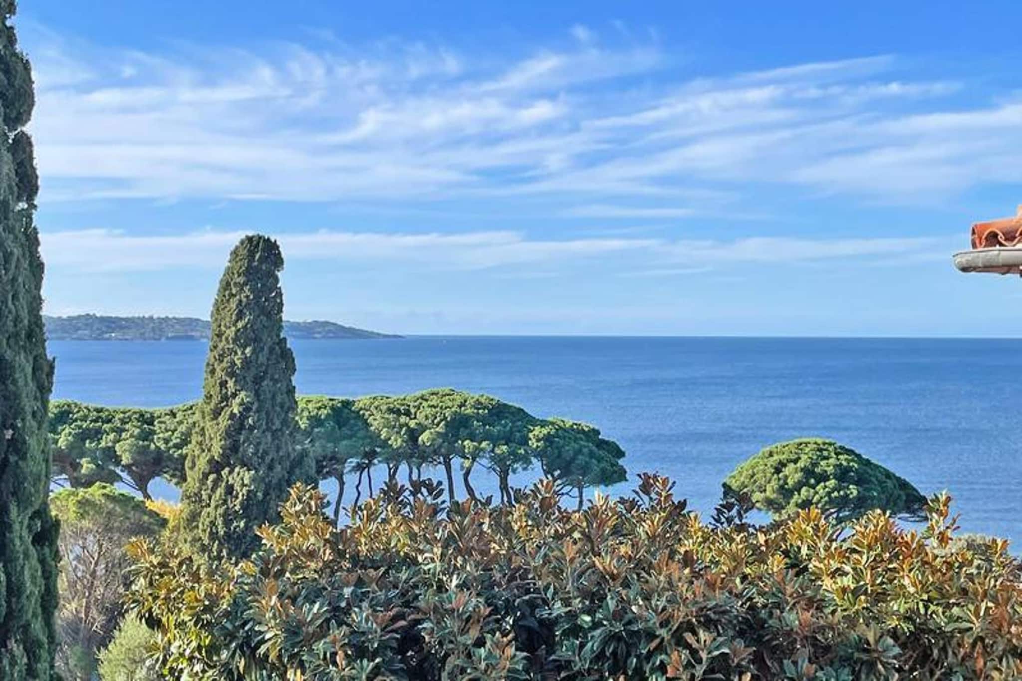 Résidence Le Clos De La Madrague-View in summer