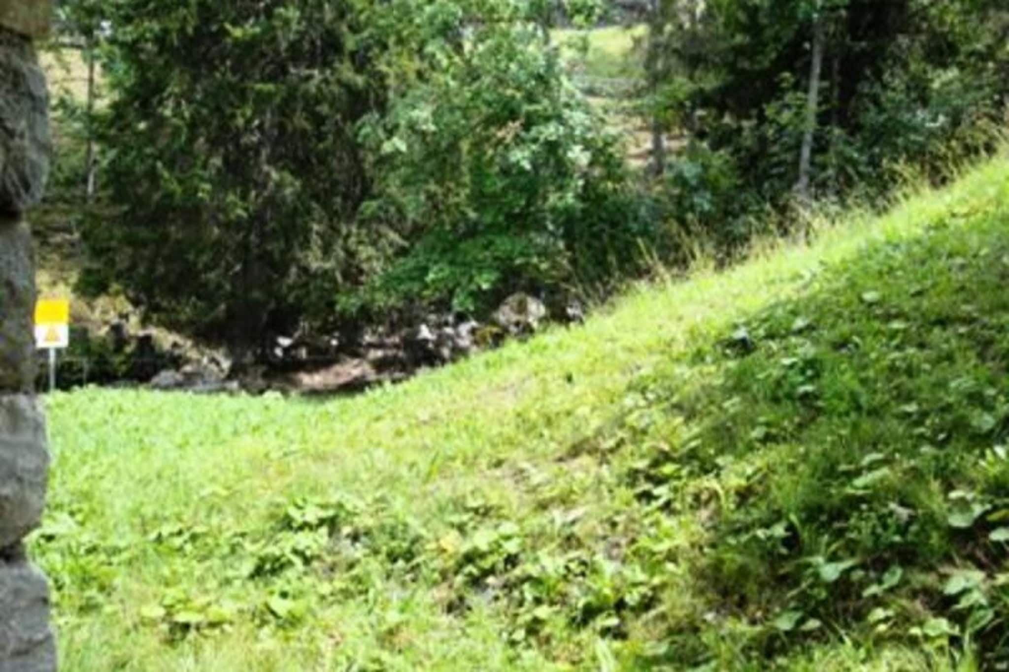 Résidence Lisiere G-Parkfaciliteiten