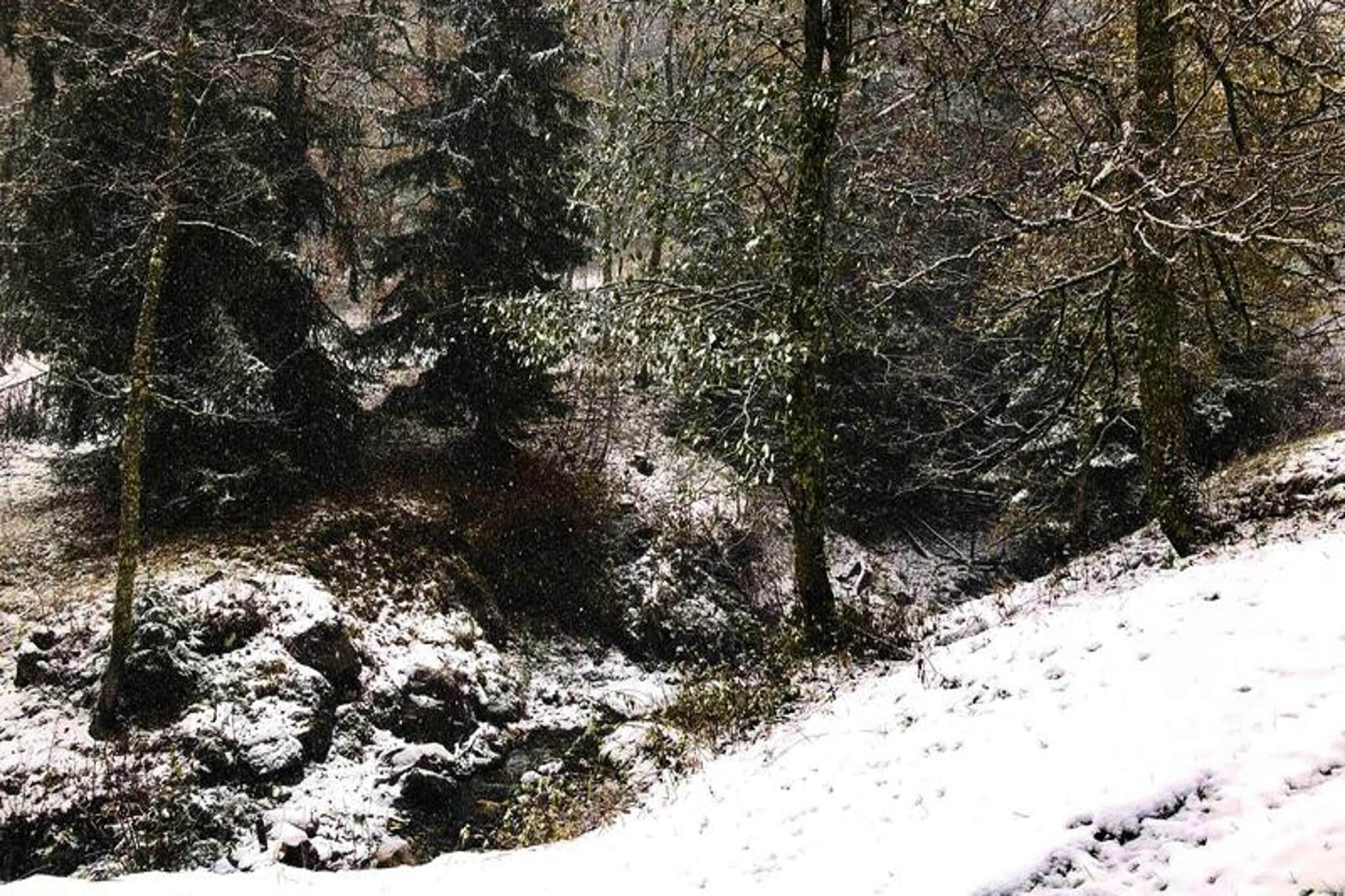 Résidence Sapiniere-Gebiet Winter 1 km