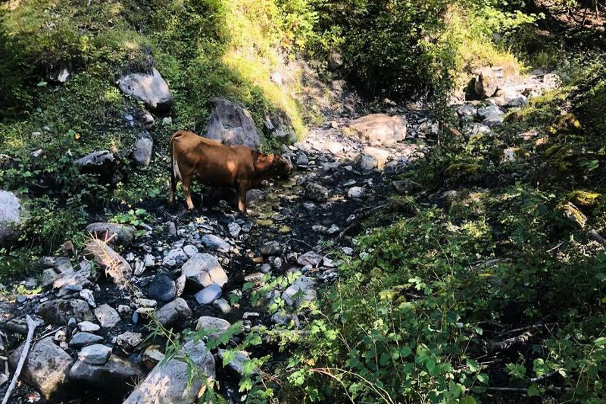 Résidence Sapiniere-Gebiete Sommer 5 km