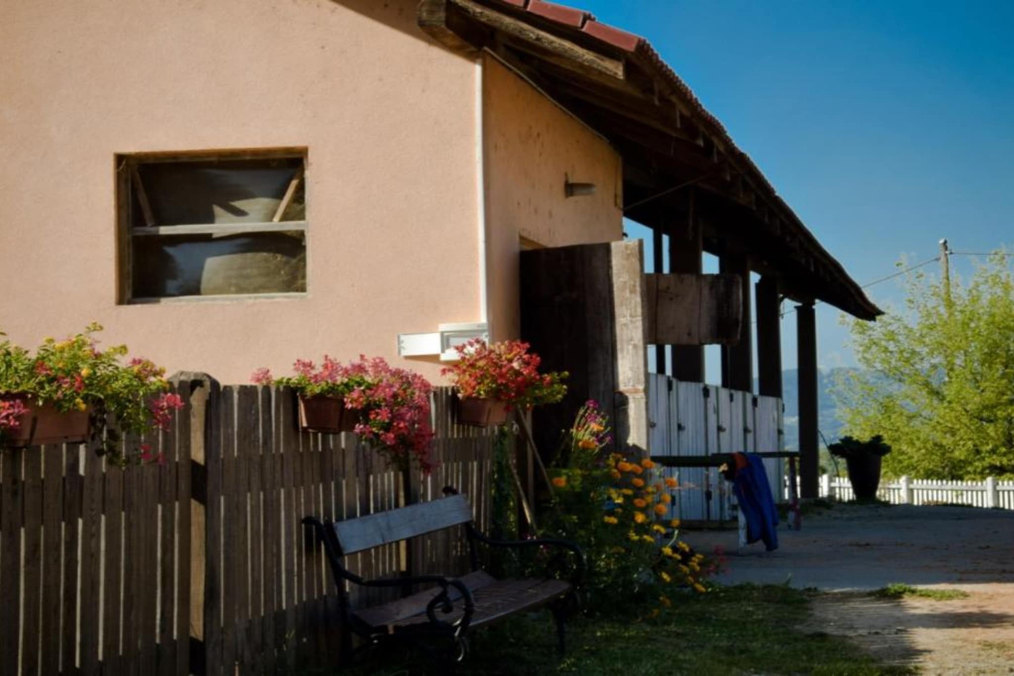 Zevnik Quiet Retreat with Stunning Views and Equestrian Activities - One Bedroom Apartment-Buitenlucht