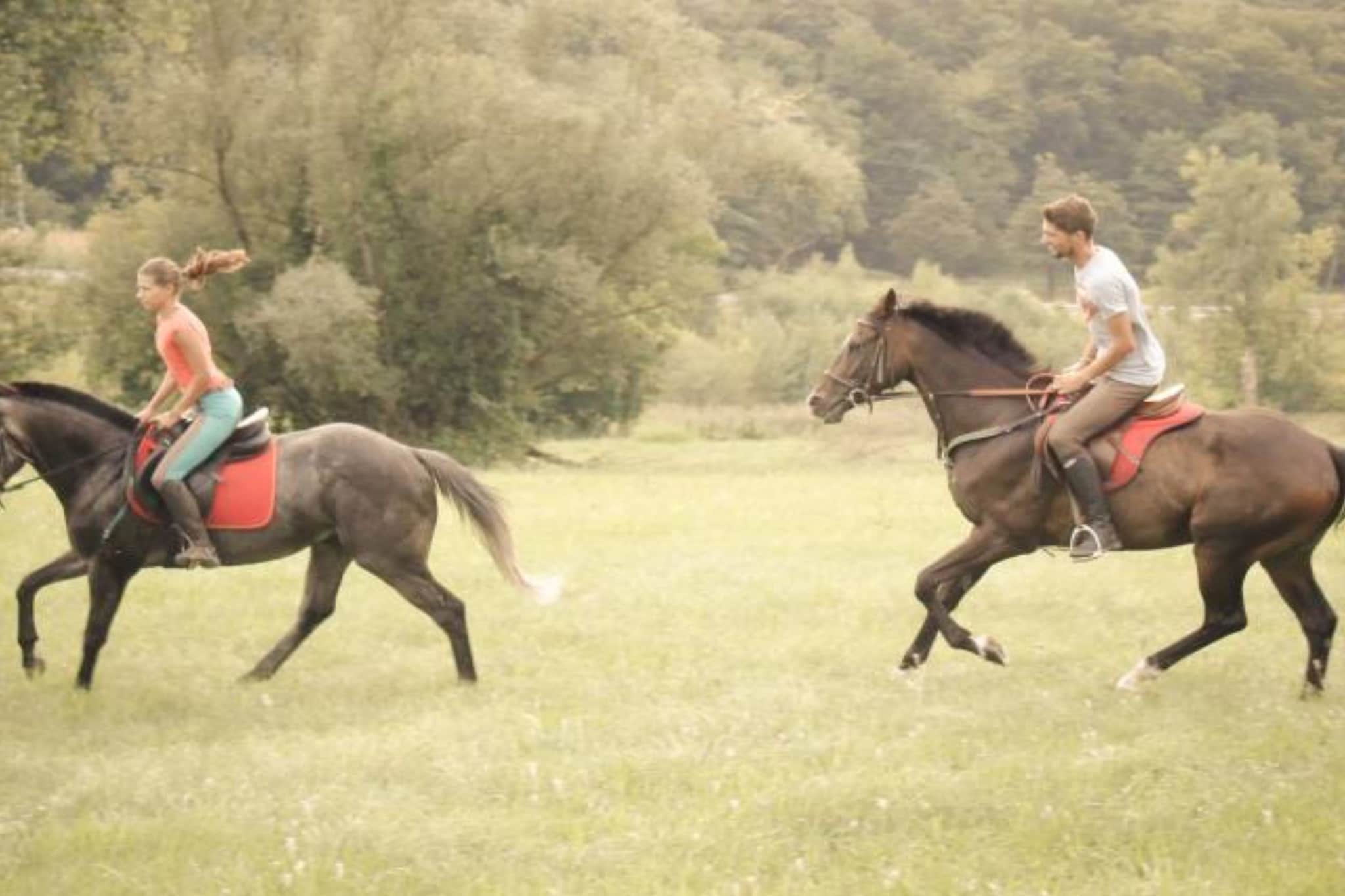 Zevnik Quiet Retreat with Stunning Views and Equestrian Activities - Standard One Bedroom Apartment-Buitenlucht