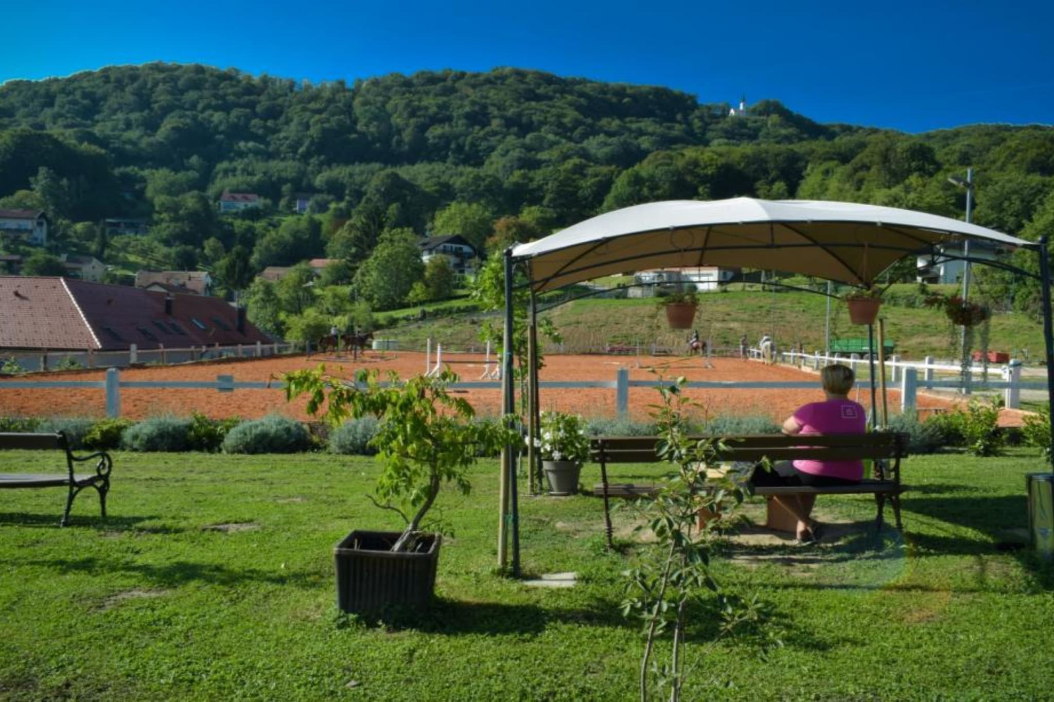 Zevnik Quiet Retreat with Stunning Views and Equestrian Activities - Standard One Bedroom Apartment-Buitenlucht