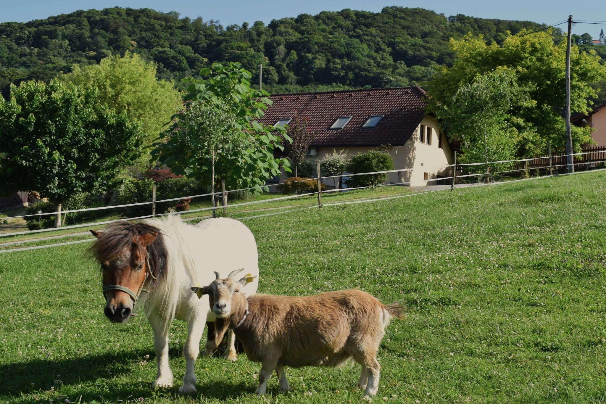Zevnik Quiet Retreat with Stunning Views and Equestrian Activities - Triple Room with Private  Bathroom-Buitenlucht