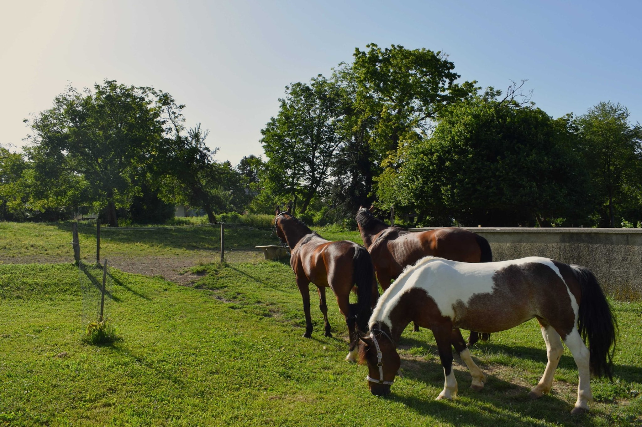 Zevnik Quiet Retreat with Stunning Views and Equestrian Activities - Triple Room with Private  Bathroom-Buitenlucht