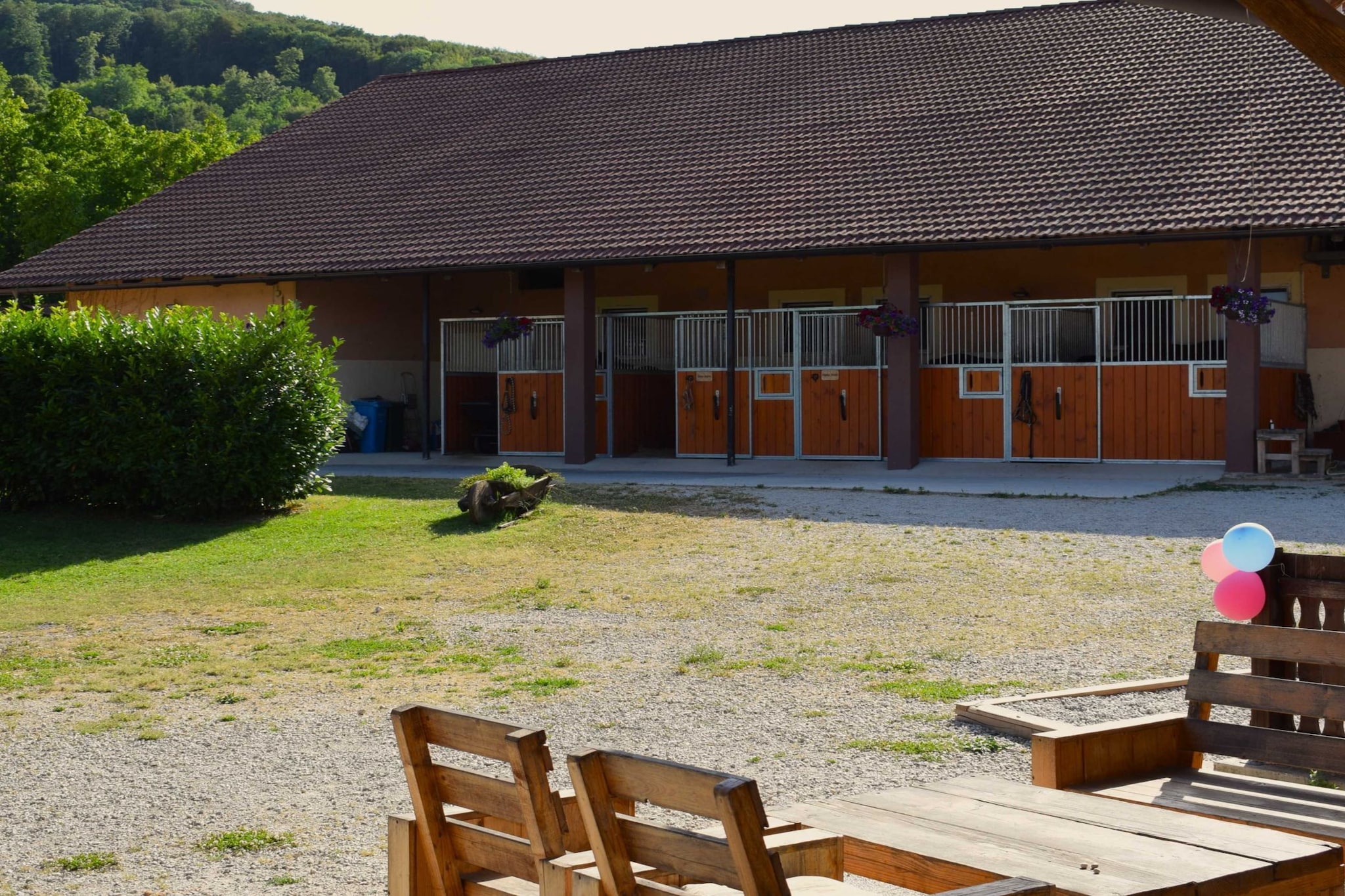 Zevnik Quiet Retreat with Stunning Views and Equestrian Activities  - Double Room with Private Bathroom-Buitenlucht
