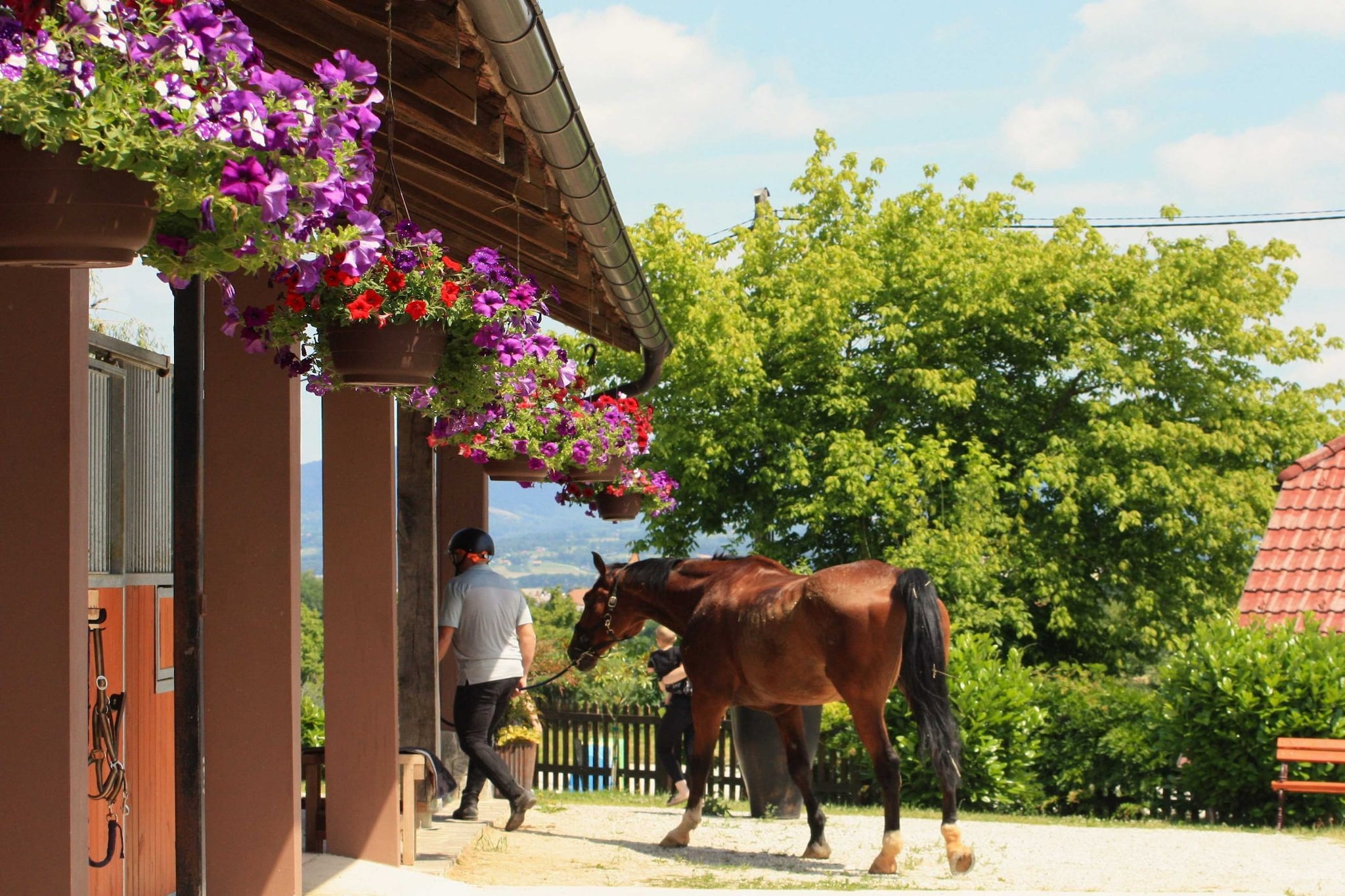 Zevnik Quiet Retreat with Stunning Views and Equestrian Activities  - Double Room with Private Bathroom-Buitenlucht