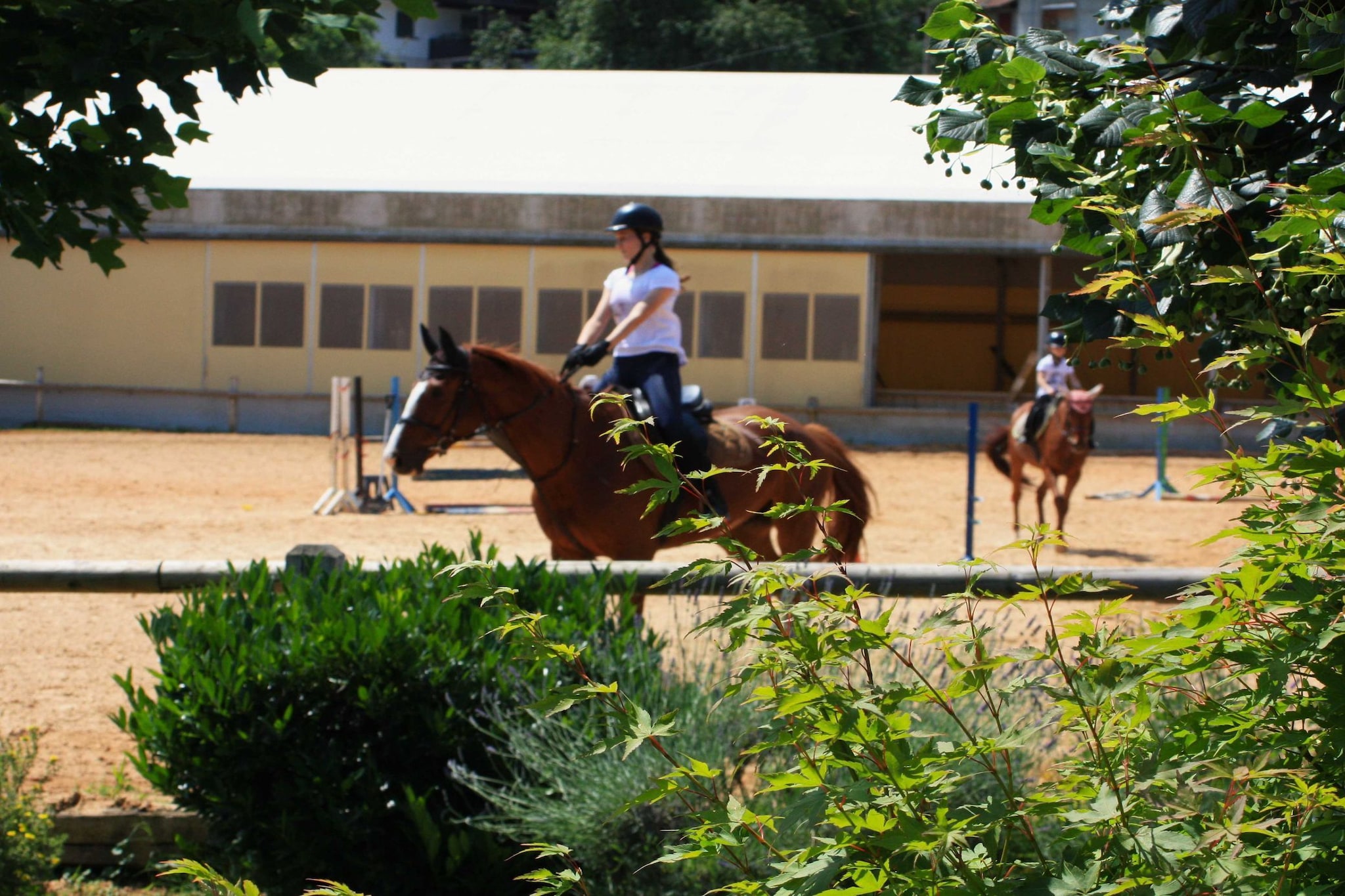 Zevnik Quiet Retreat with Stunning Views and Equestrian Activities  - Double Room with Private Bathroom-Buitenlucht