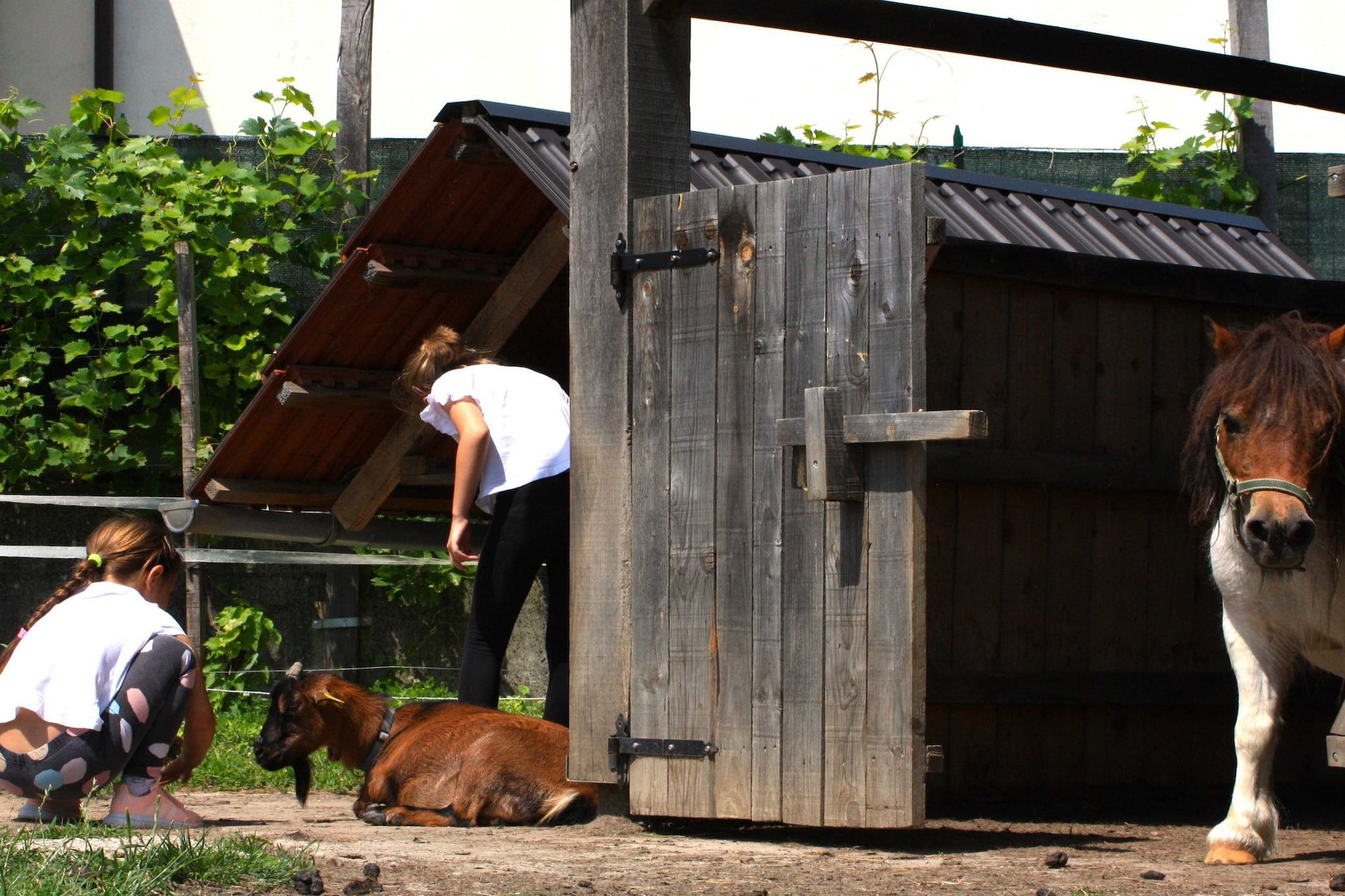 Zevnik Quiet Retreat with Stunning Views and Equestrian Activities  - Double Room with Private Bathroom-Buitenlucht