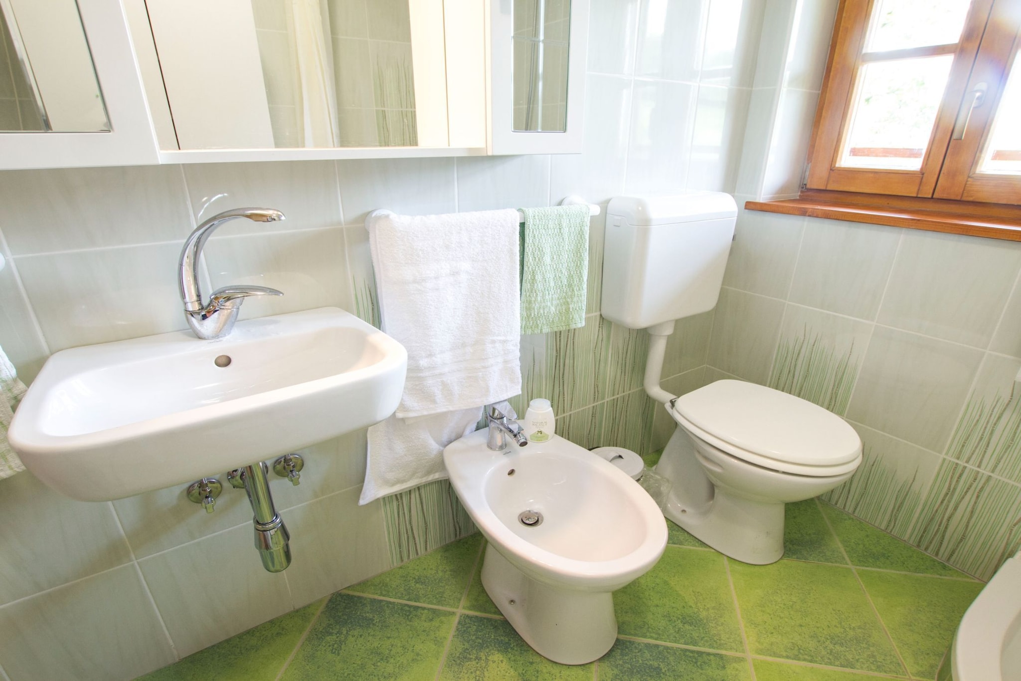Sunny Two Bedroom Retreat in Beautiful Bizeljsko - Two Bedroom Country House-Badkamer