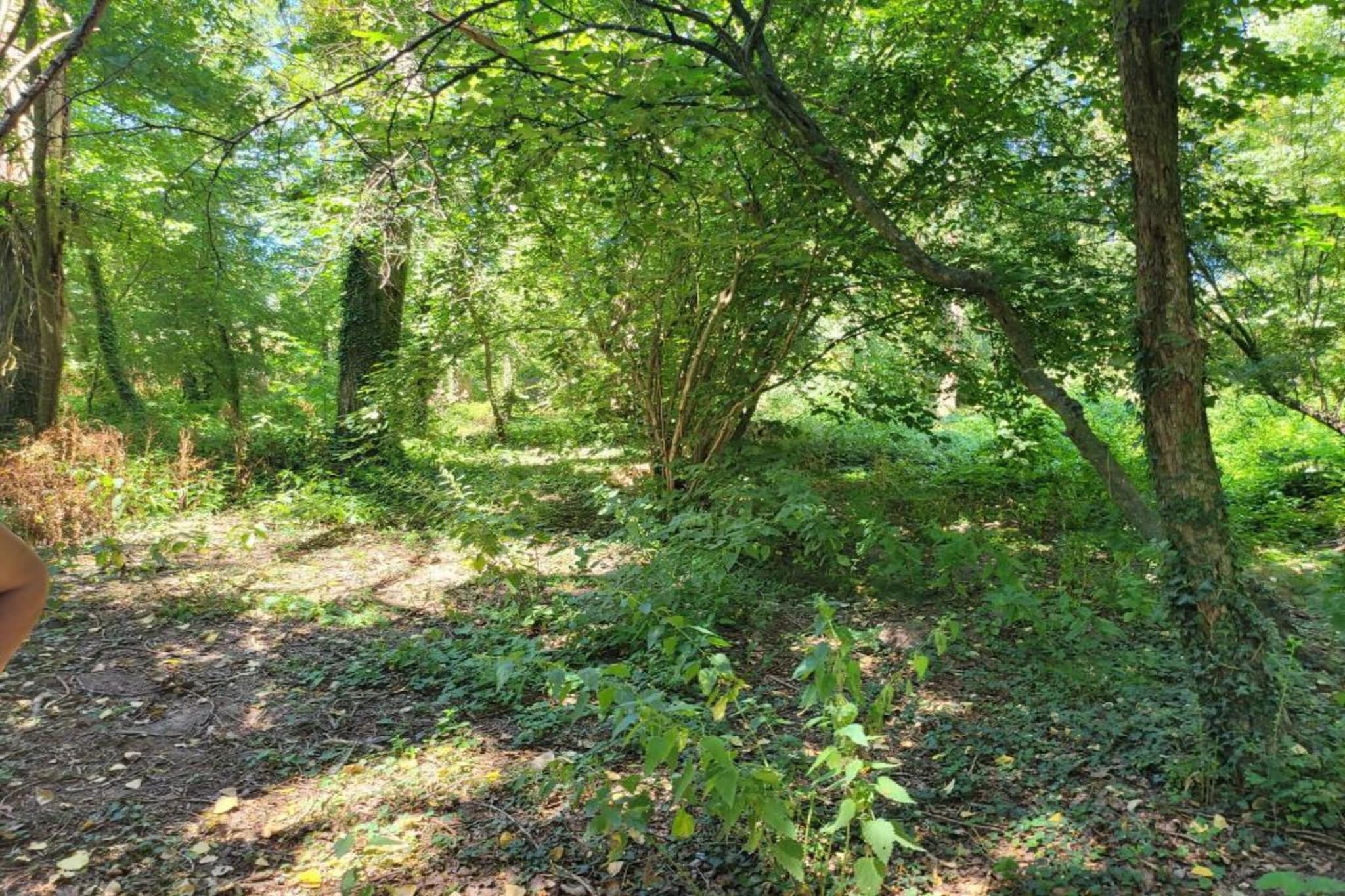 Mas d'Ourbise Penan-Gebiete Sommer 20 km