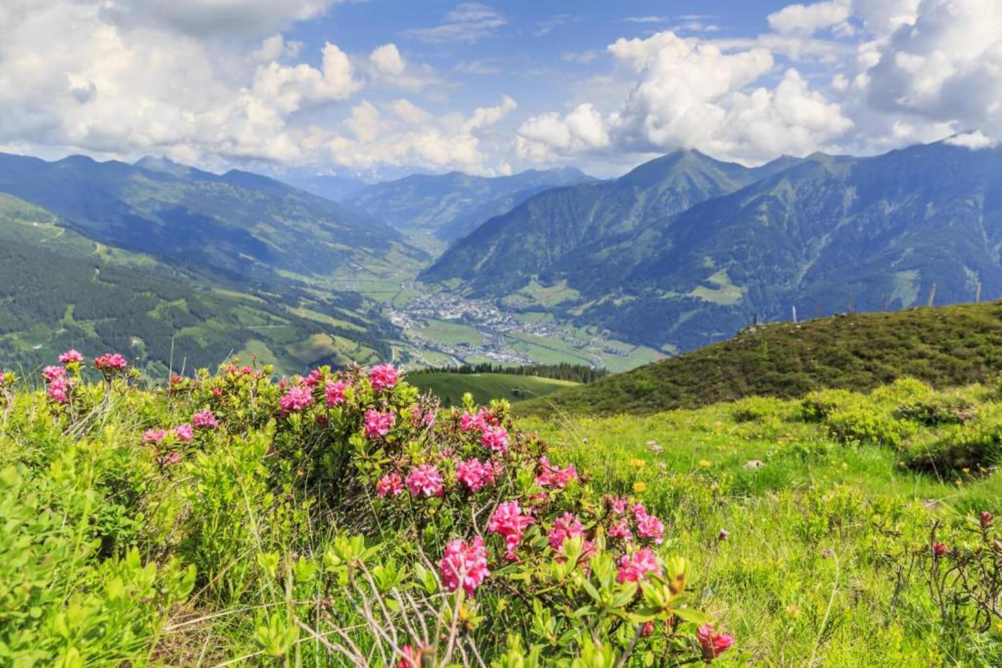 Superior Chalet-Gebieden zomer 20km