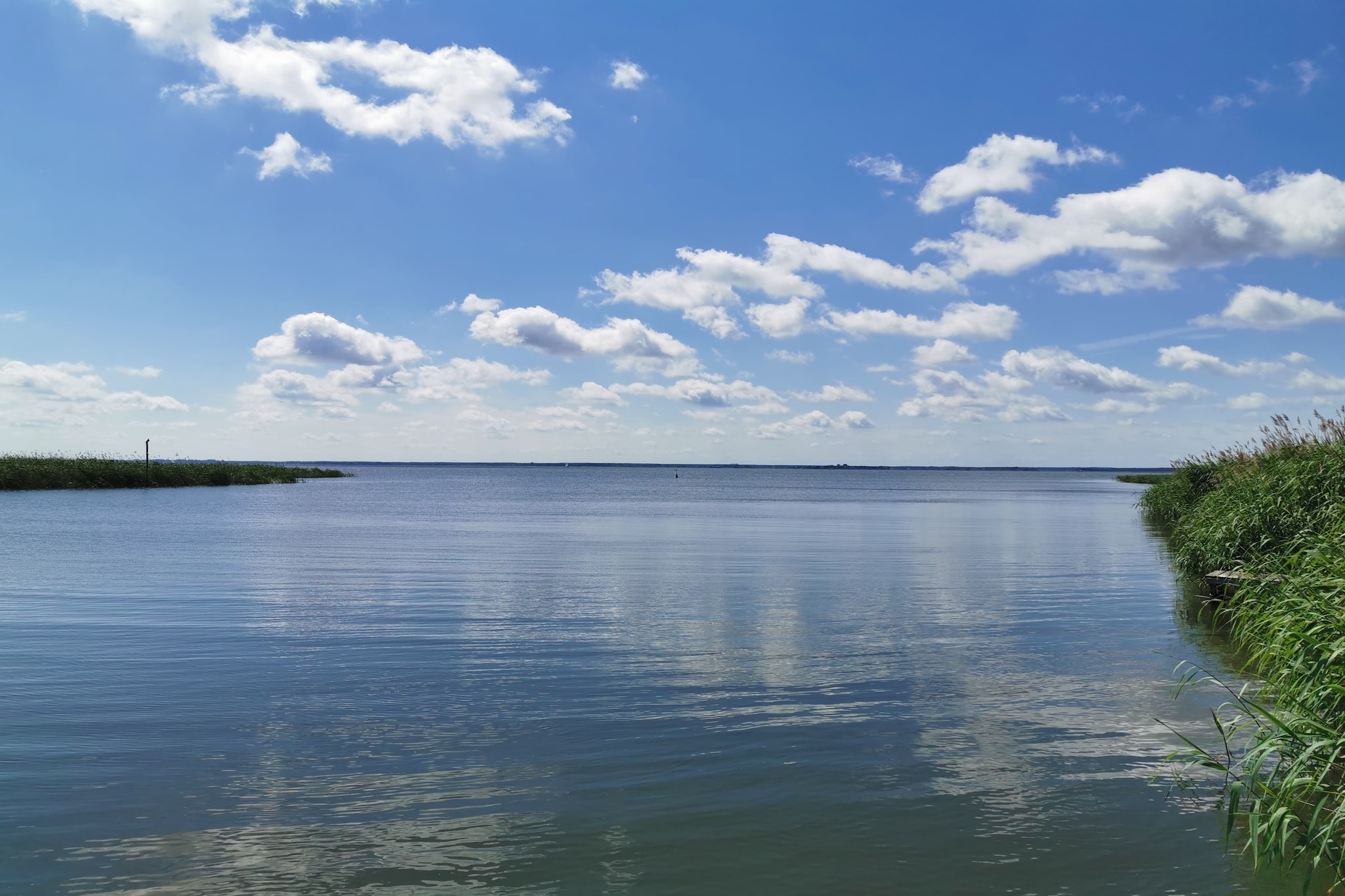 Urlaub auf der Insel Usedom-Tuinen zomer