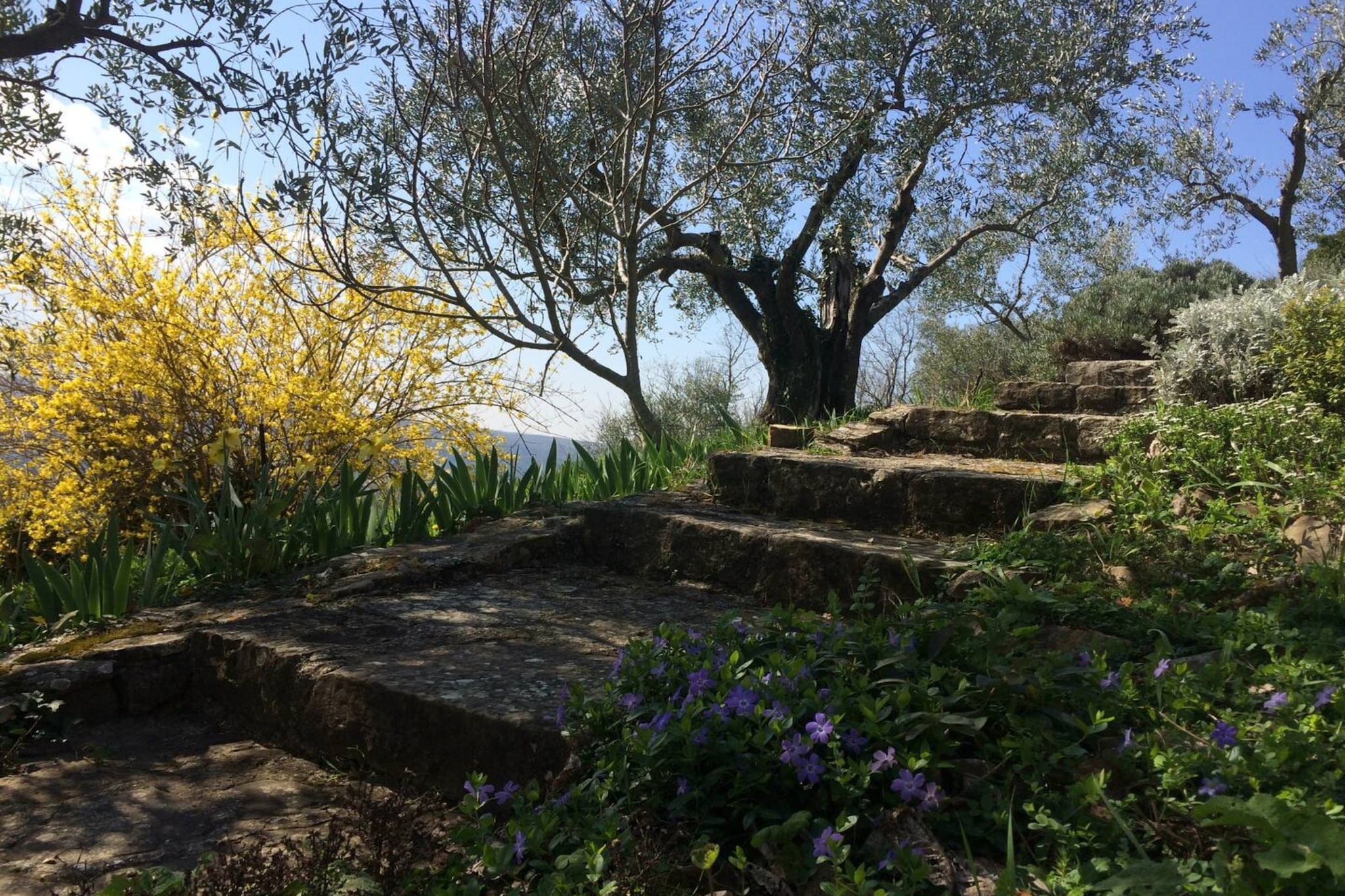 Villa Bella - Two Bedroom House-Outdoor