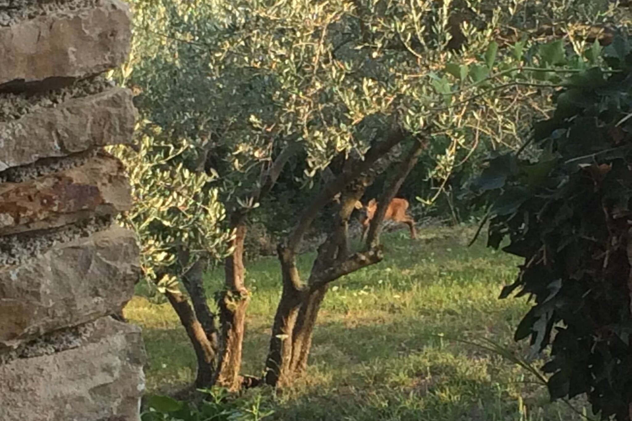 Villa Bella - Two Bedroom House-Outdoor