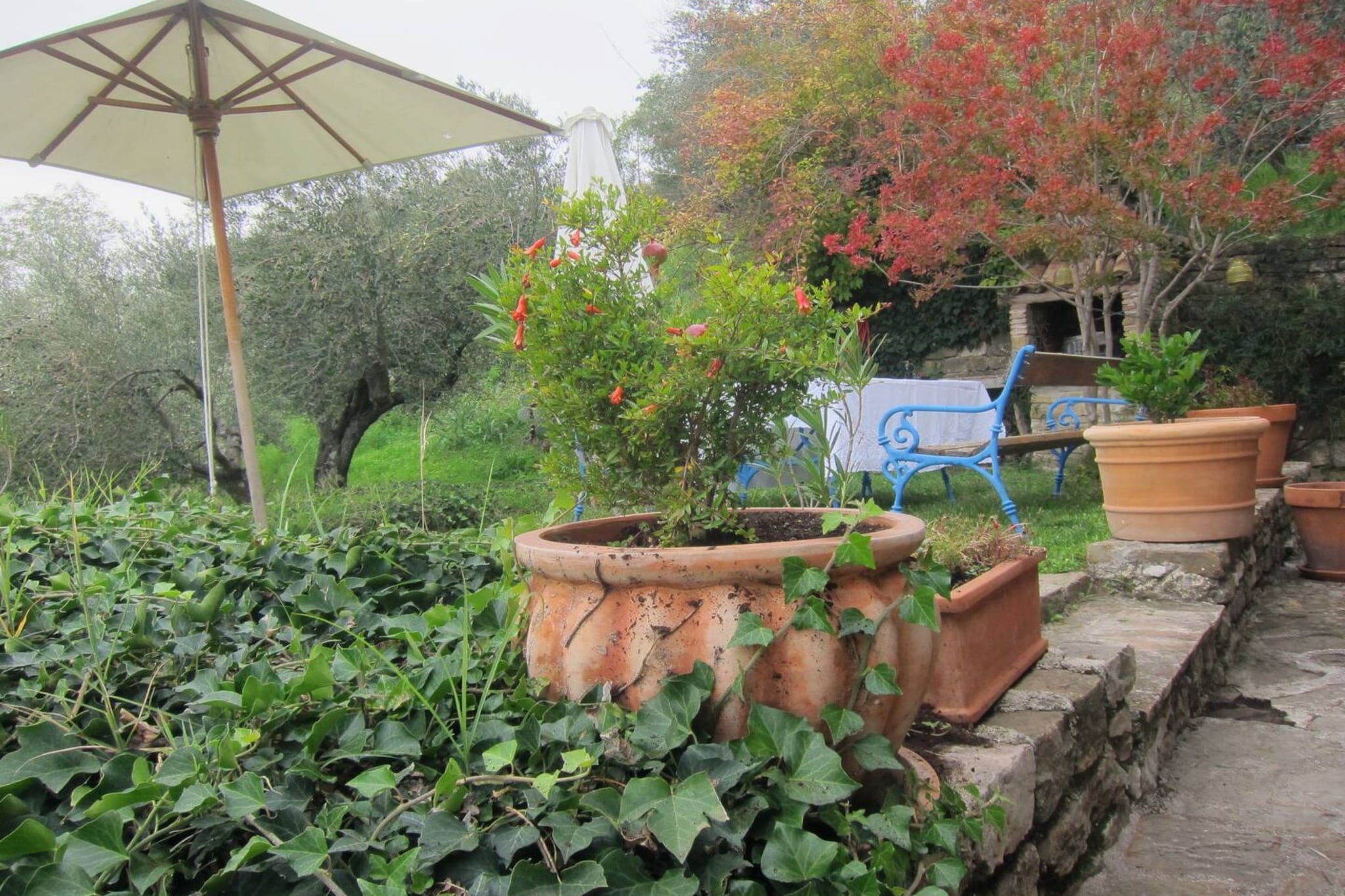Villa Bella - Two Bedroom House-Outdoor