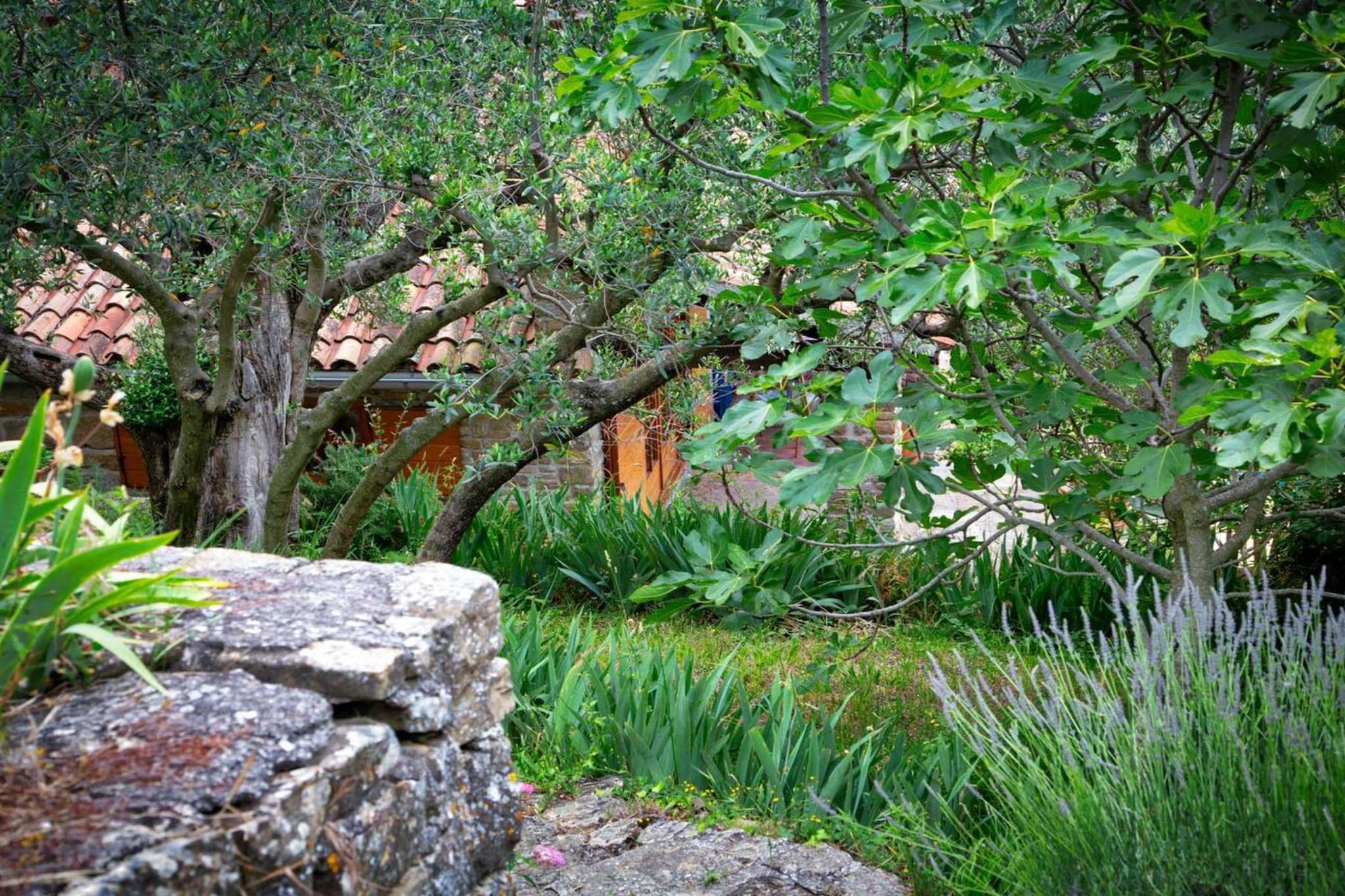 Villa Bella - Two Bedroom House-Outdoor