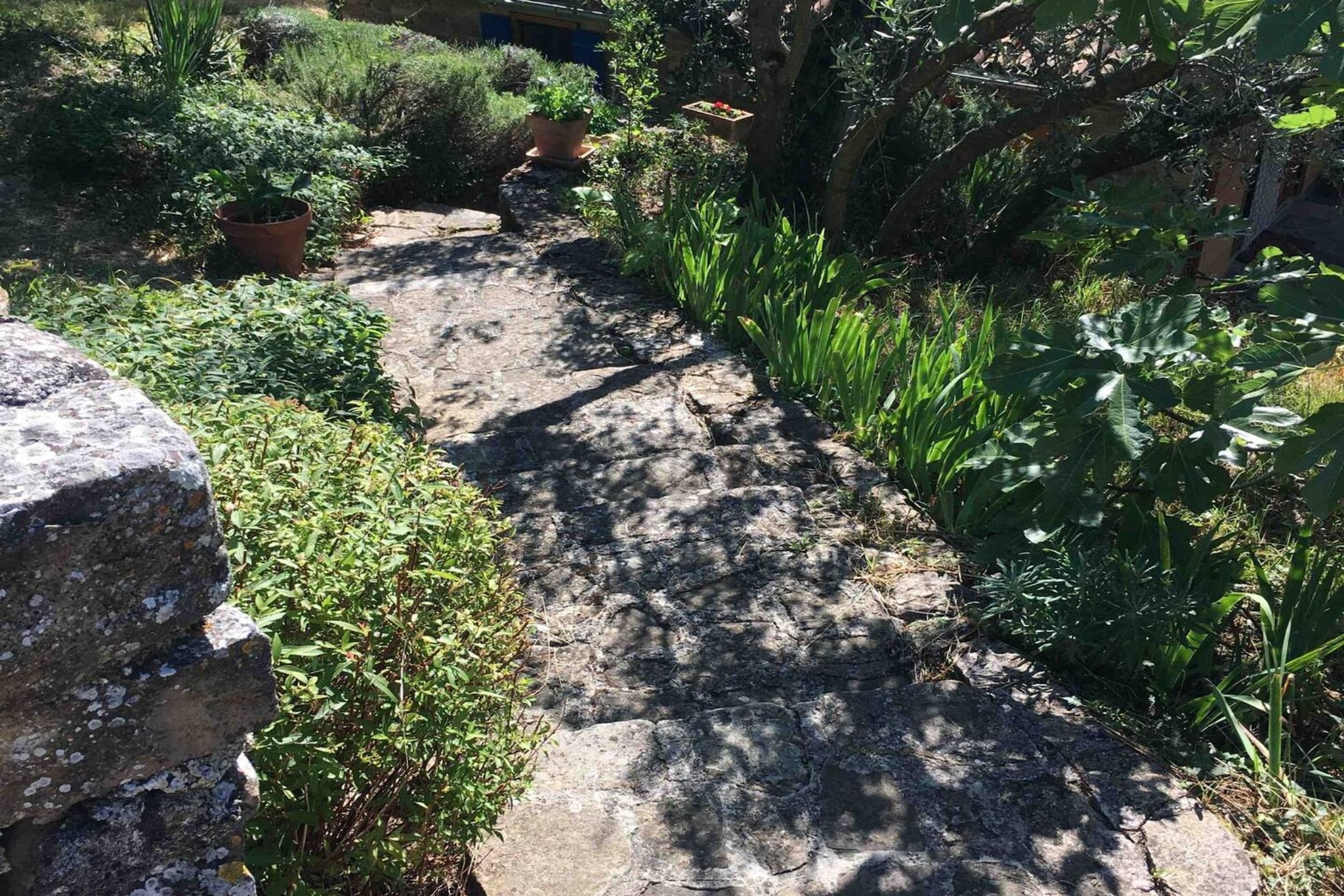 Villa Bella - Two Bedroom House-Outdoor