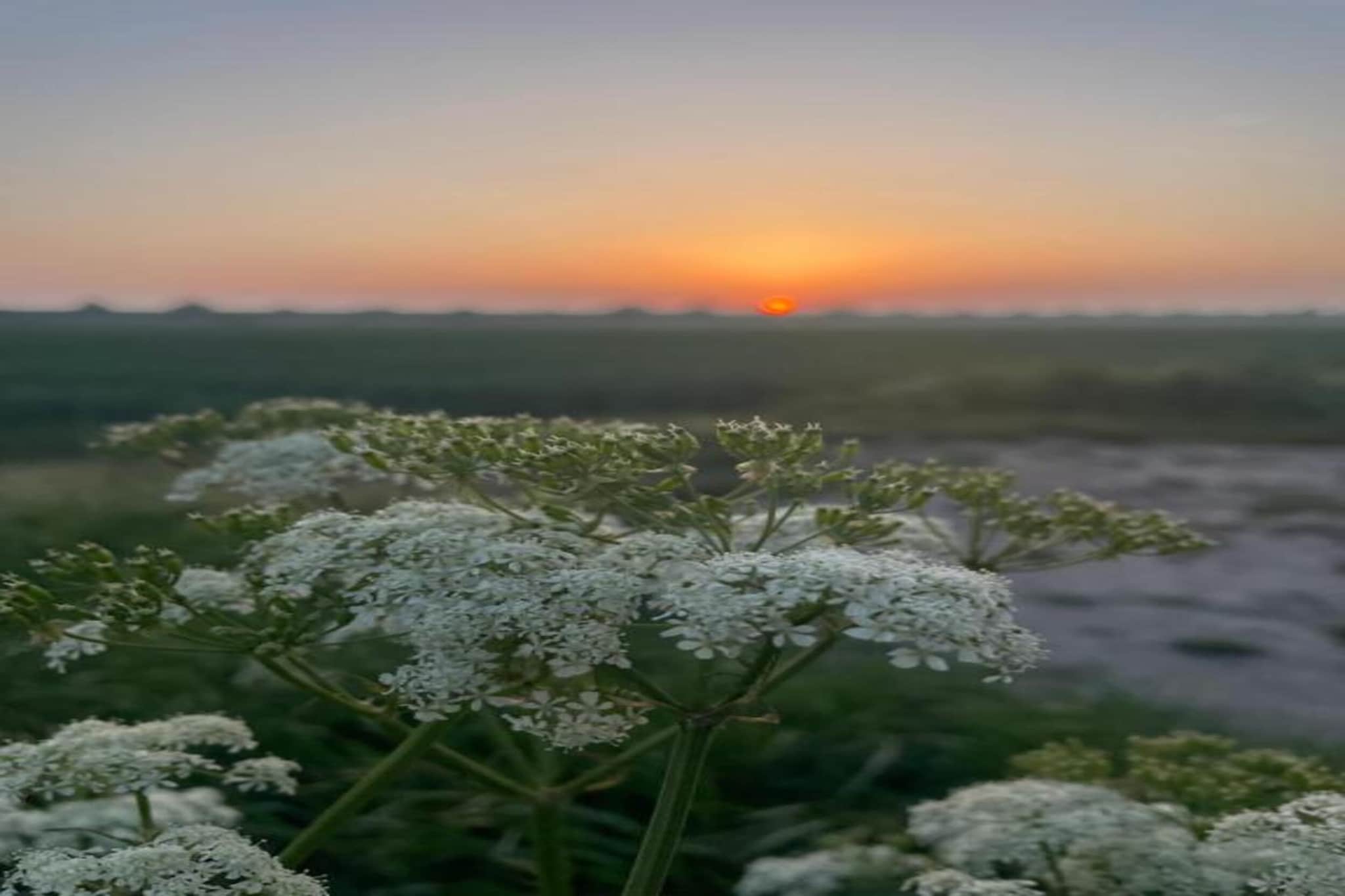 B&B de Gouwe Tijd-Gebiete Sommer 20 km