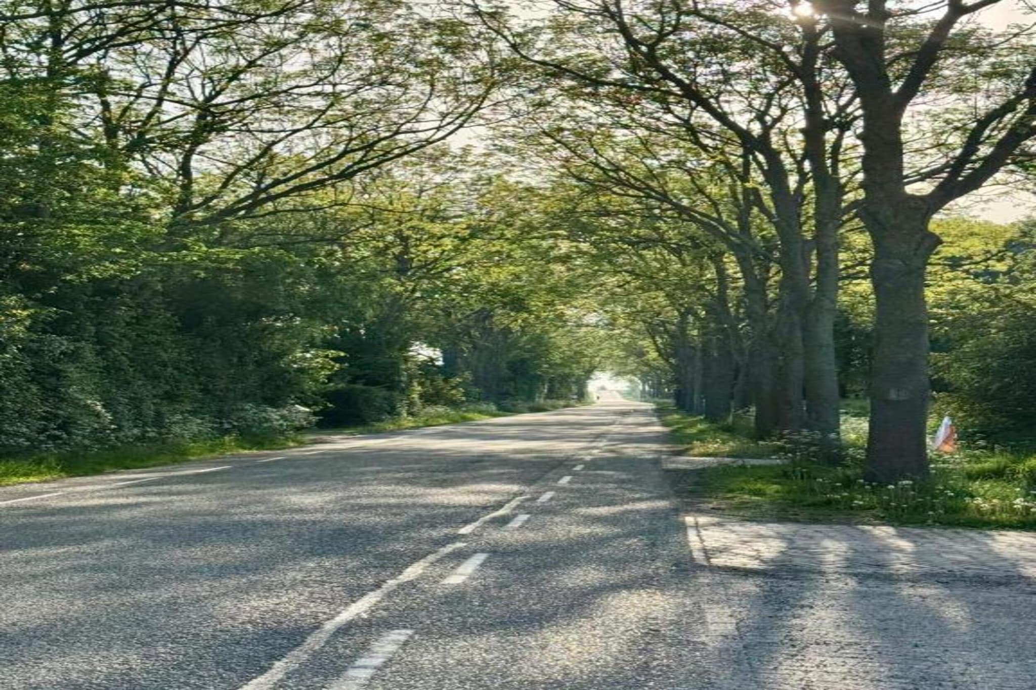 B&B de Gouwe Tijd-Gebiete Sommer 20 km