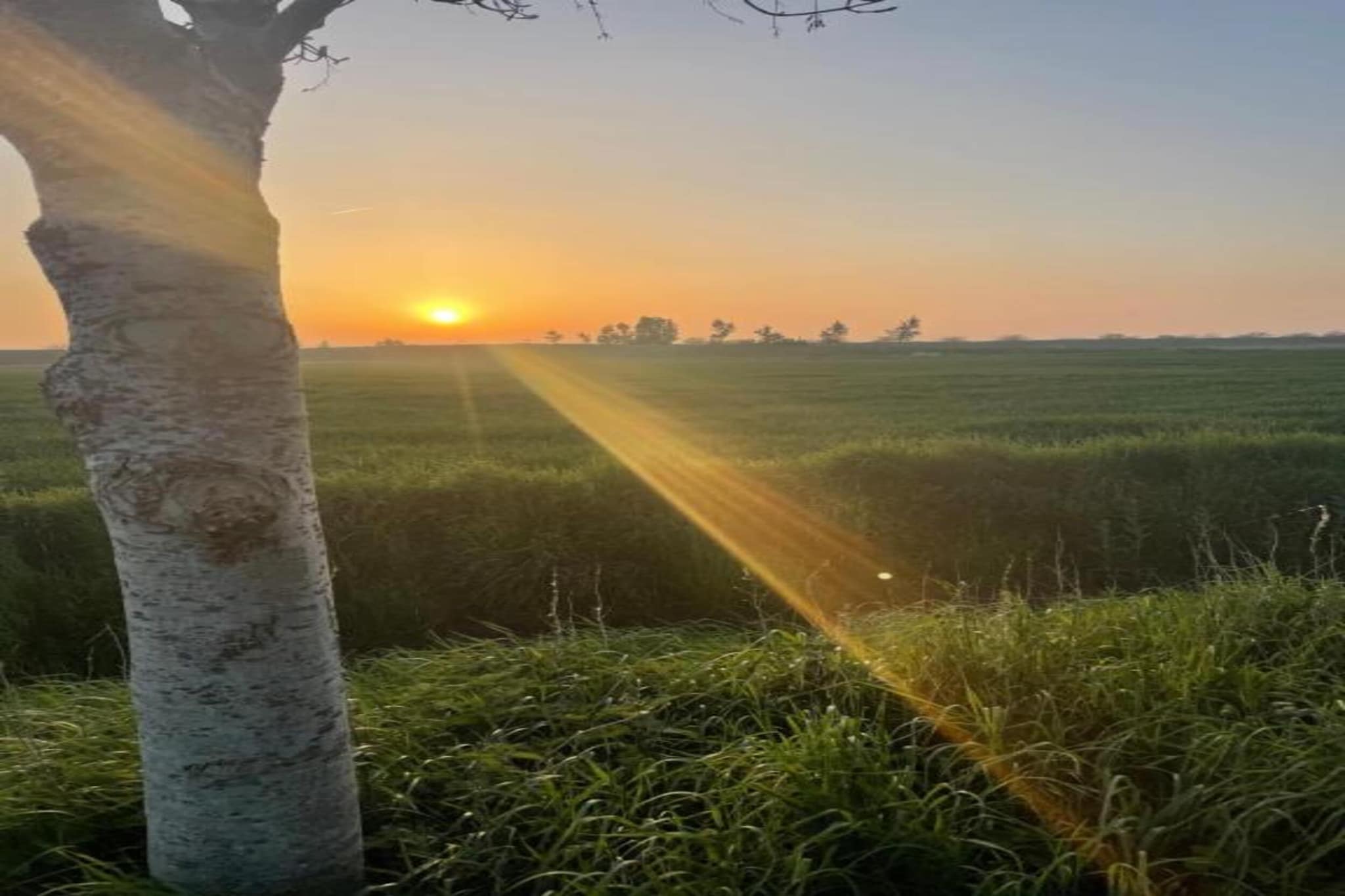 B&B de Gouwe Tijd-Gebiete Sommer 20 km