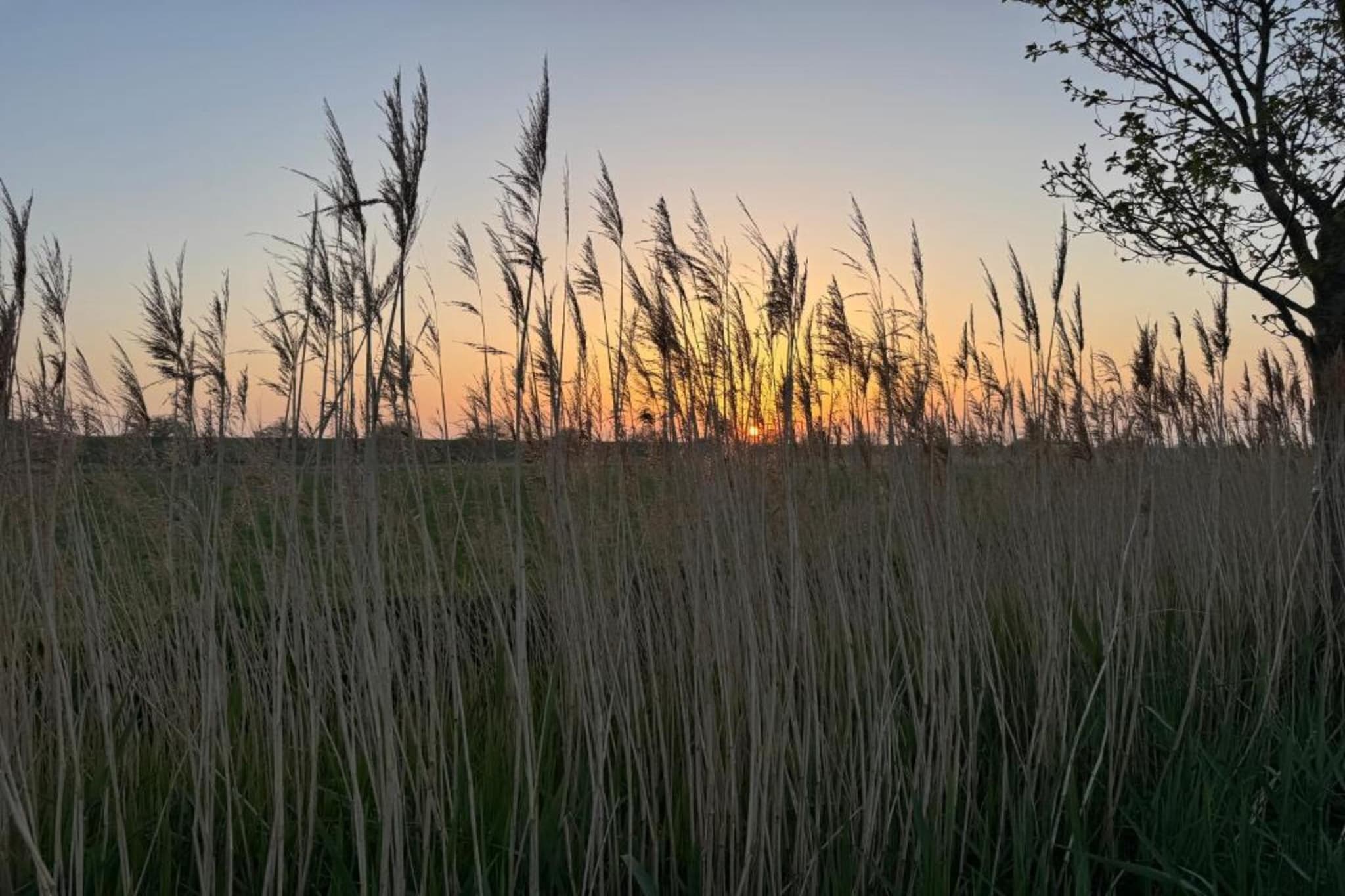 B&B de Gouwe Tijd-Gebiete Sommer 20 km