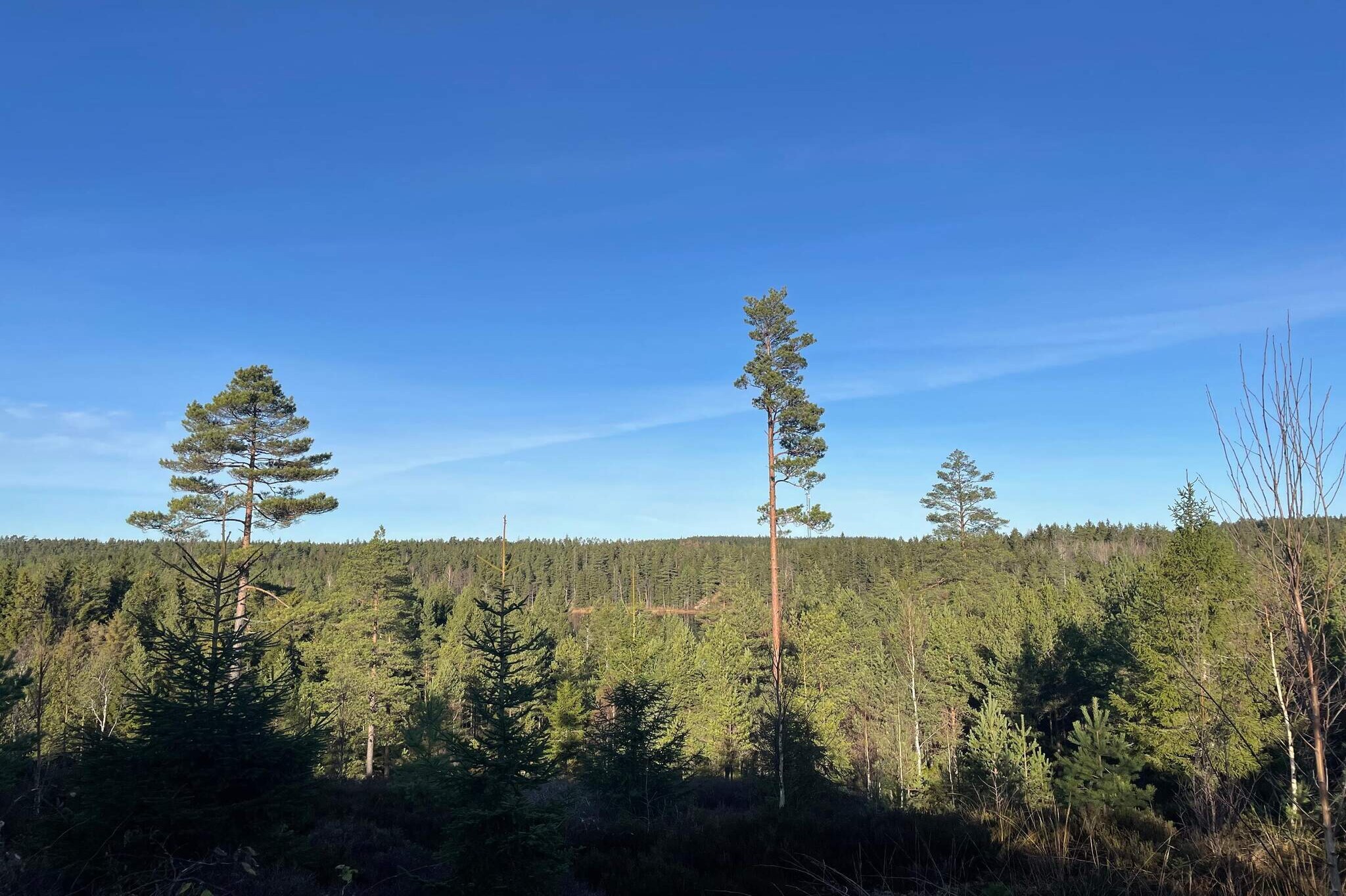 10 Personen vakantie huis in BÄCKEFORS-Buitenlucht