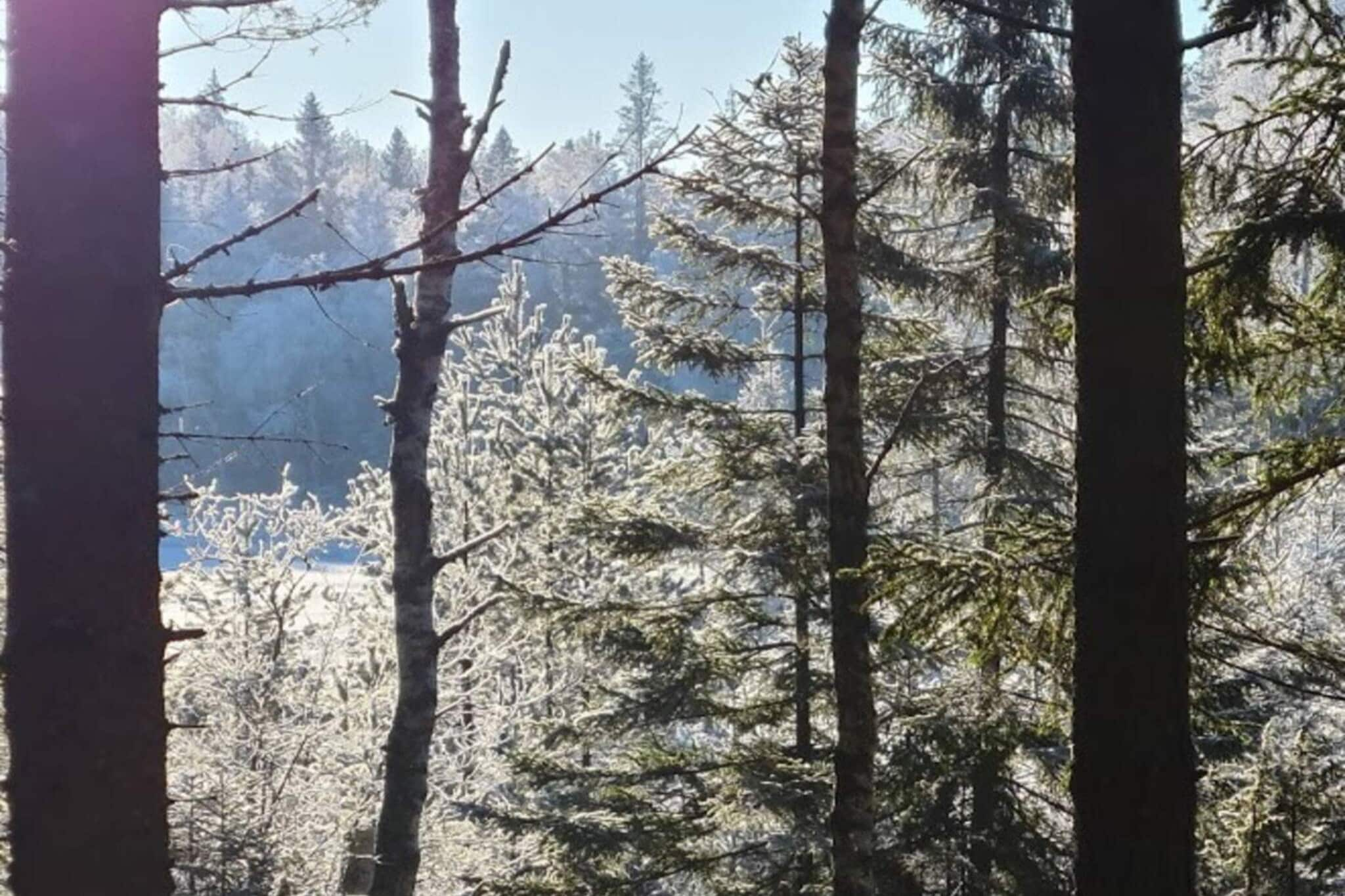 10 Personen vakantie huis in BÄCKEFORS-Buitenlucht