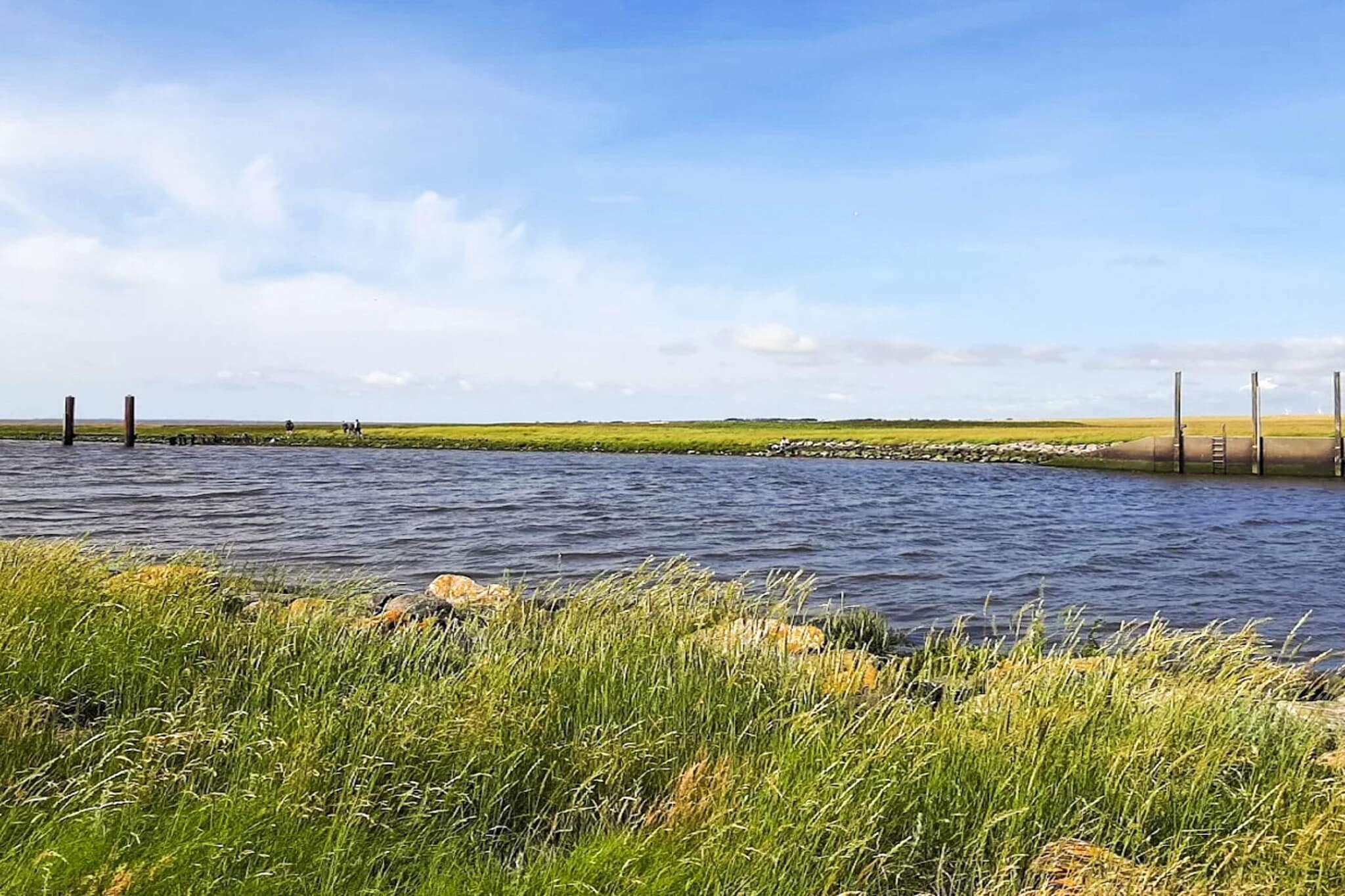 Water View