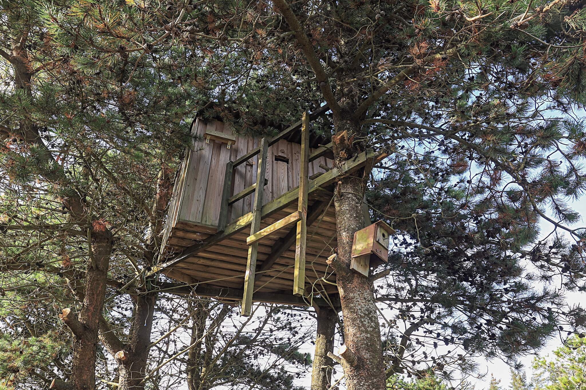 6 Personen vakantie huis in Thisted-Uitzicht