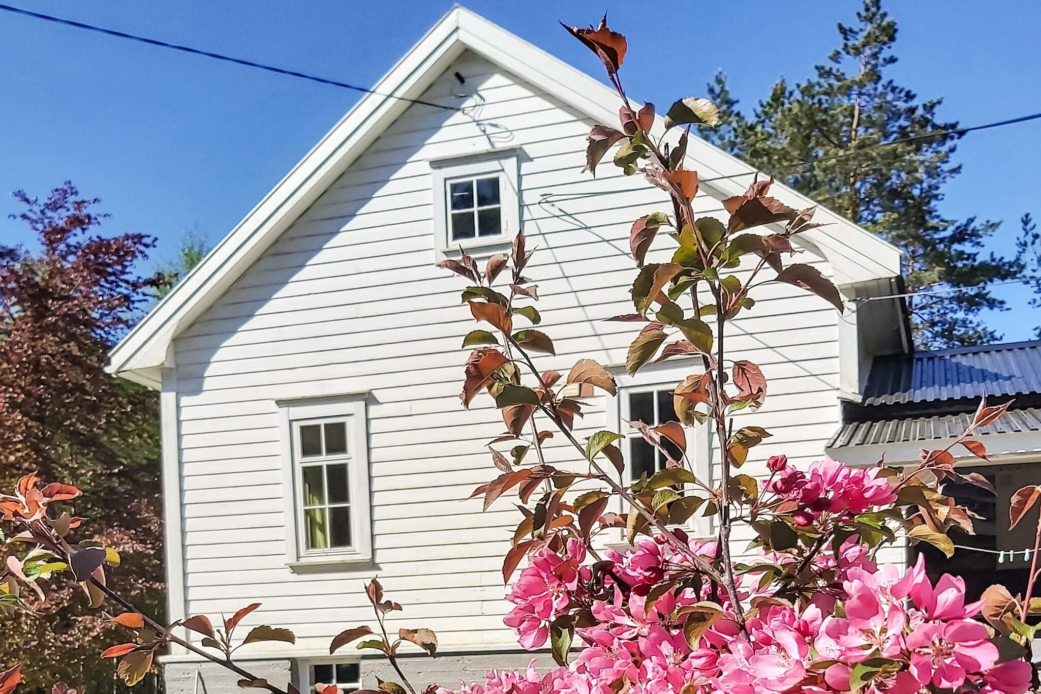 Spacious holiday home in Songesand, one of many gems in Ryfylke. Former campsite with main house and annex and lots of space both in and outdoors for the extended family. The holiday home sleeps 5 people in the main house, divided into four bunk beds and one single bed. In the annex, there are 3 bedrooms that sleep 8 people in total. The kitchen is in the main house, but in the annex, you will also find a hob, coffee maker and fridge. The standard is simple and nostalgic. In the basement of the main building there is a small kiosk with information about the area as well as goods such as ice cream, soft drinks etc. and tel. no. to the landlord you can call for purchase. In the basement, there is also a bathroom with WC and shower in addition to a bathroom with WC and shower cubicle on the ground floor. On the property there is a barbecue hut with an outdoor grill. Good swimming opportunities in a pool in the nearby river and in the fjord. The area offers countless hiking opportunities and activities such as e.g. guided seal safari or fishing trips on the Lysefjorden, Flørli with the world's longest wooden staircase (4444 steps), boat to Lysebotn and trip to Kjerag. The holiday house is a good starting point for a trip to Prekestolen, or Bakken Gård with a lovely view of Prekestolen. Guided tours and fishing trips offered by the landlord who lives nearby. In the area, you can experience nature both on land and sea, and livestock such as sheep as well as animals such as deer, roe deer, foxes and hares. We recommend that you follow the road description and not GPS.