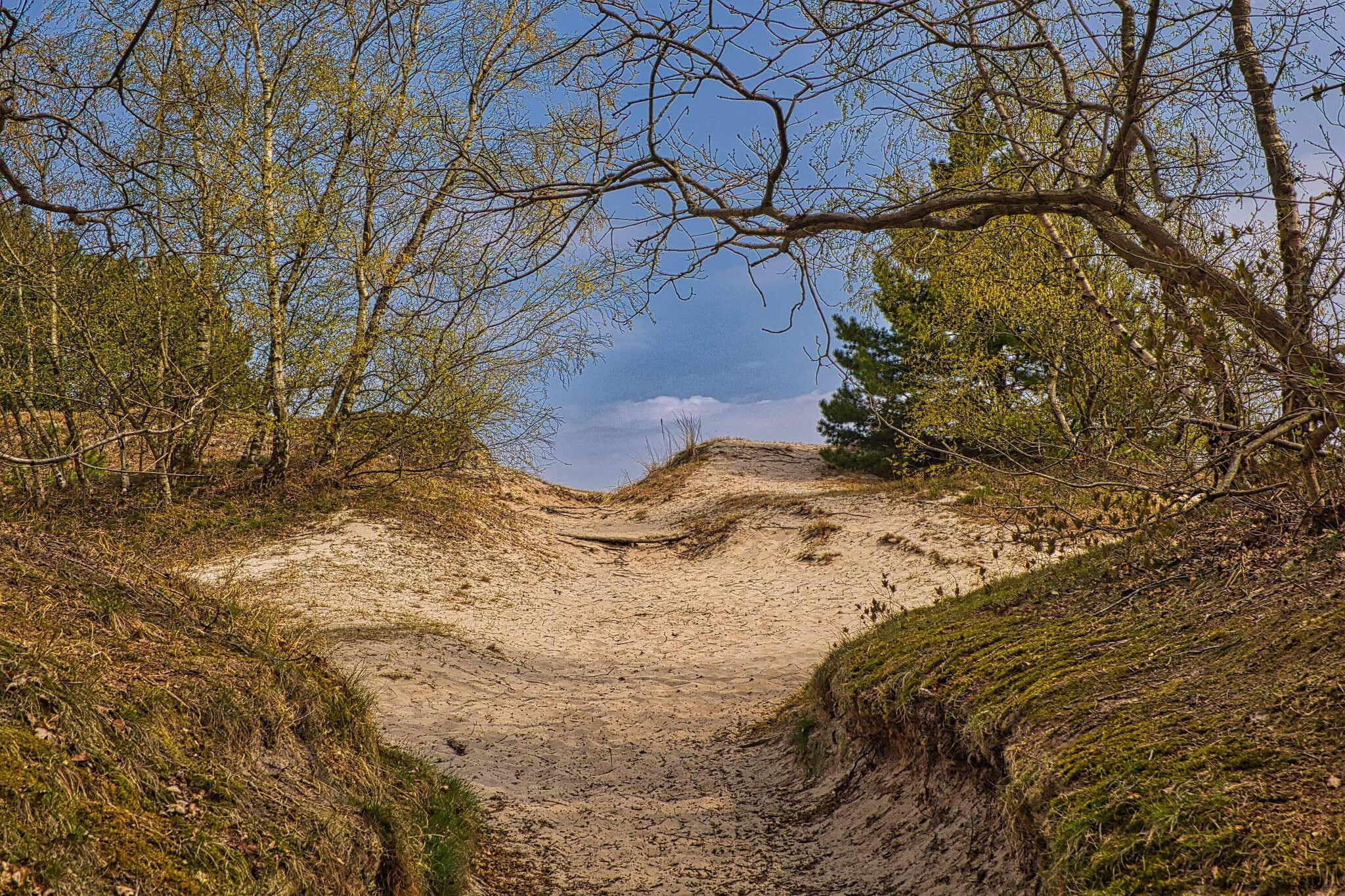 4 star holiday home in Børkop-Untagged