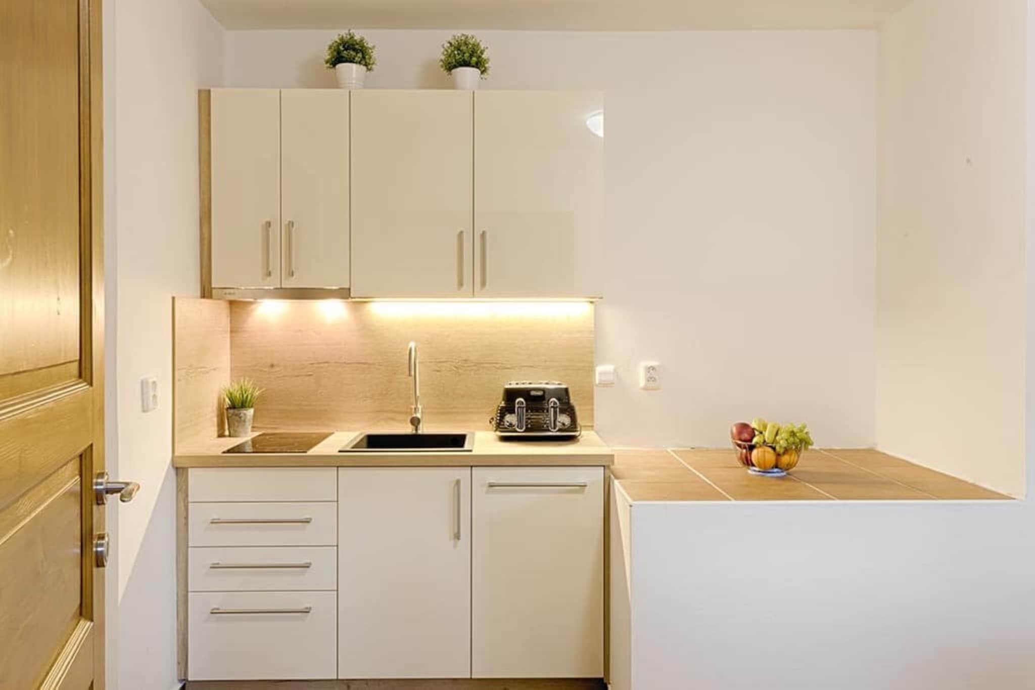 Spacious apartment in Harrachov