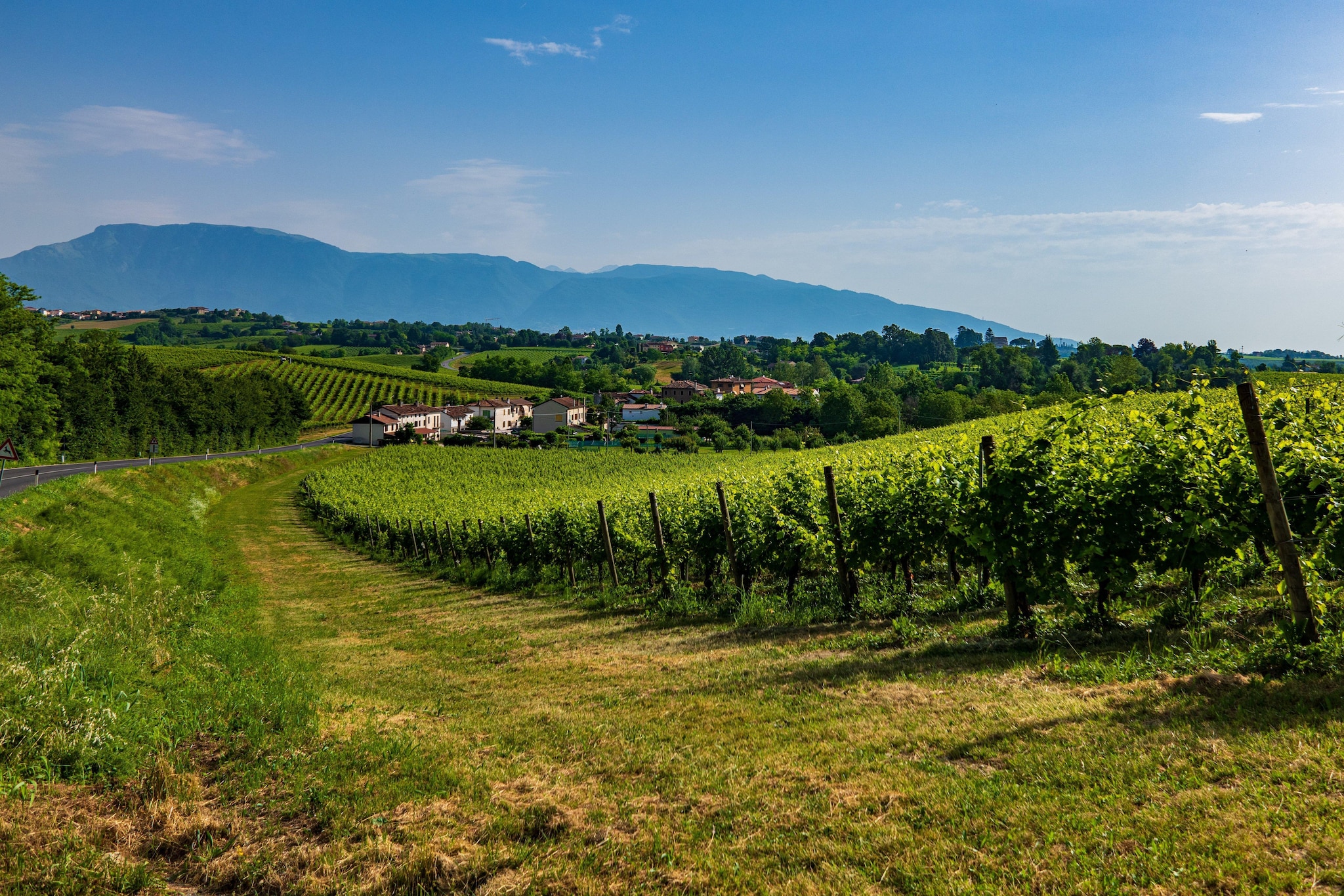 Bucaneve-Areas summer 5km