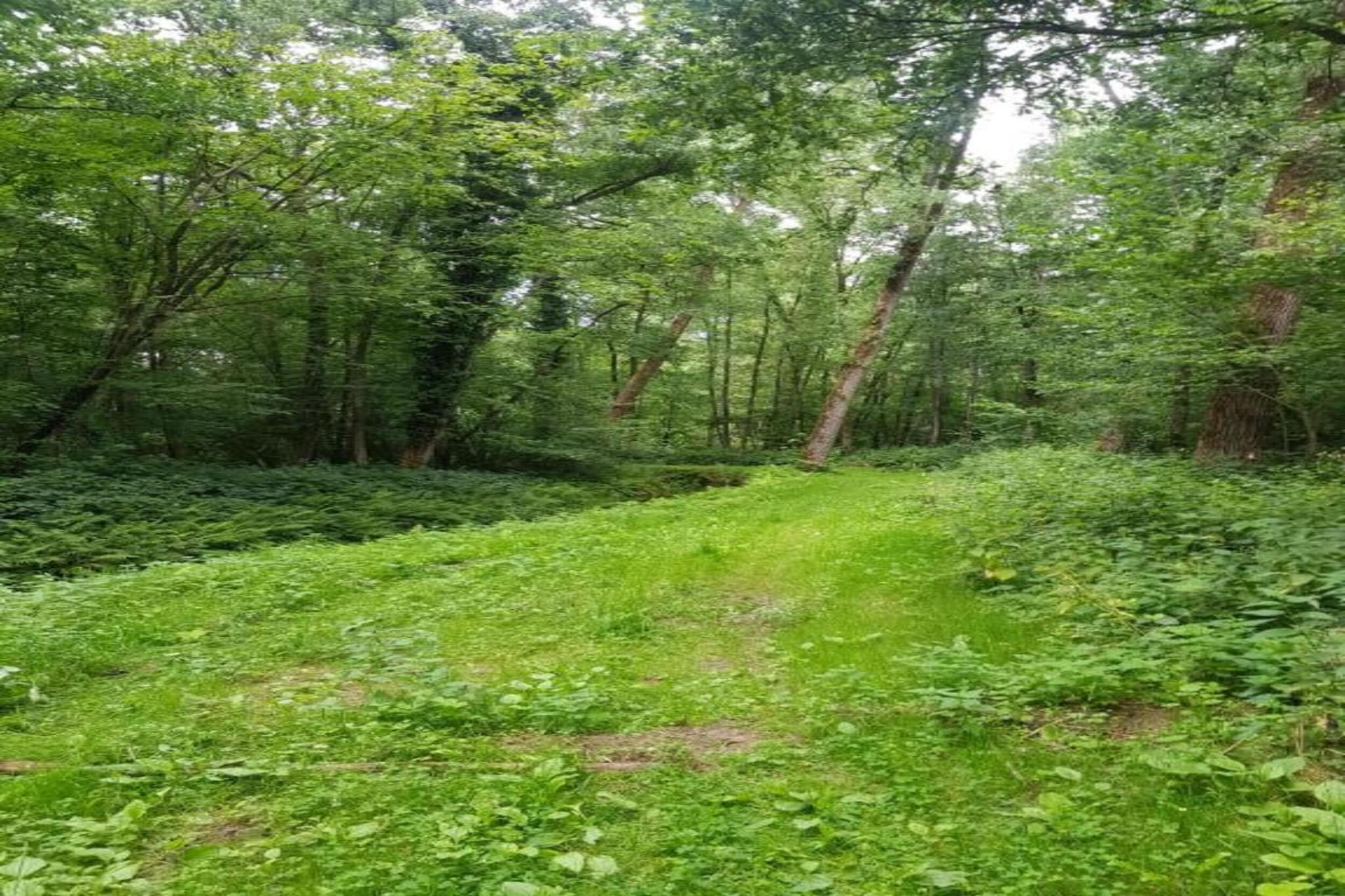 Bucaneve-Areas summer 20km