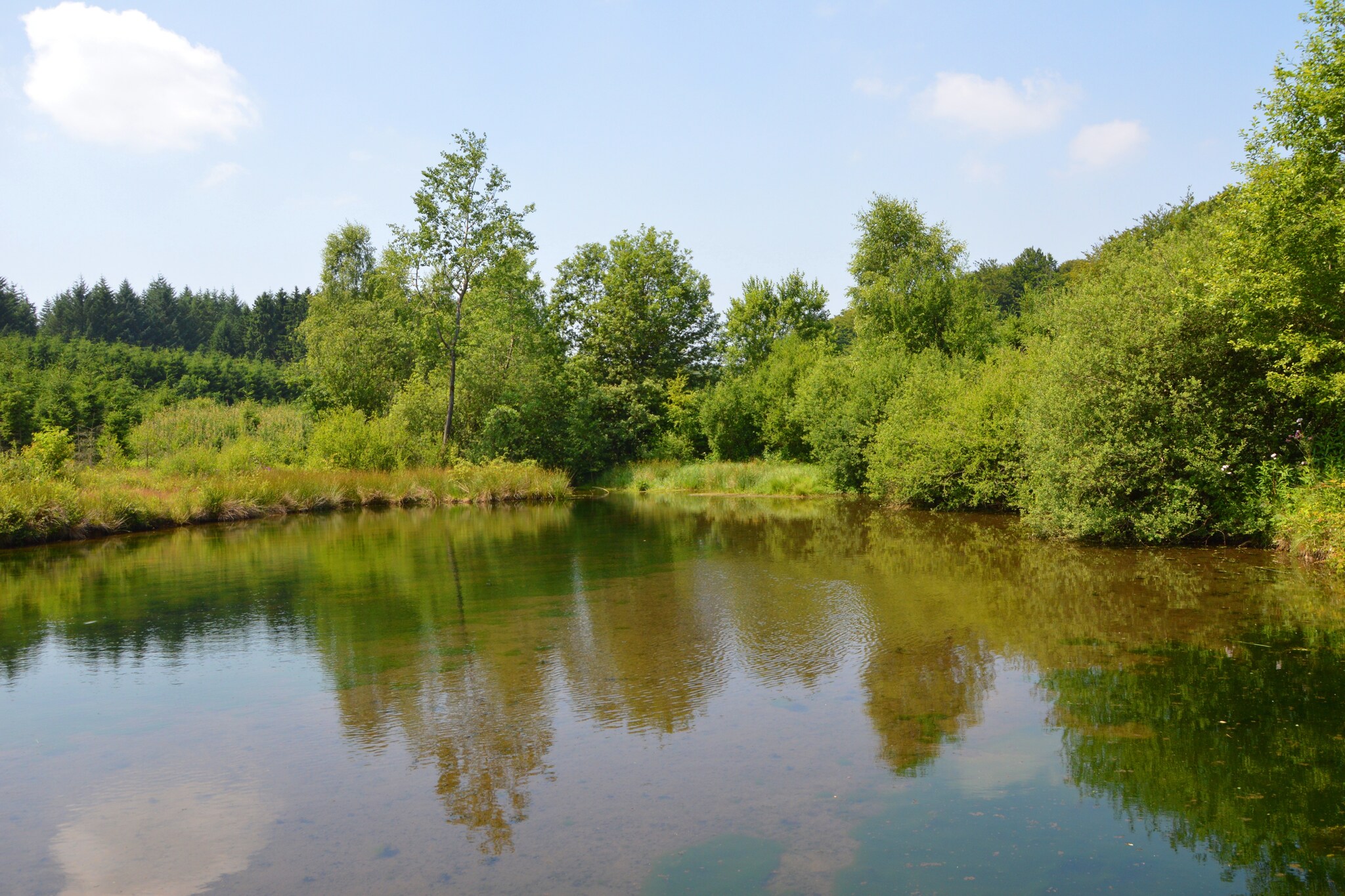 Vakantiehuis Bouillon-Menuchenet max. 6 personen 3 huisdieren 3 slaapkamers #21