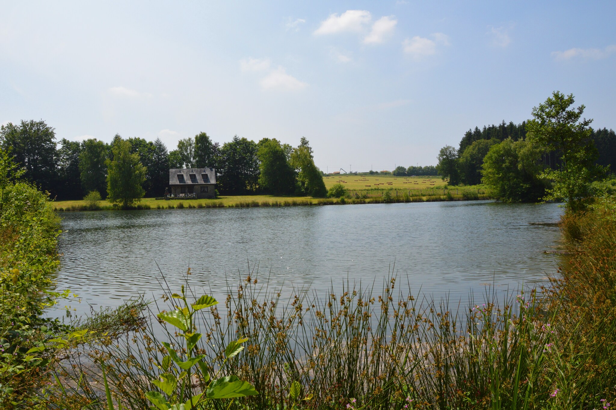 Vakantiehuis Bouillon-Menuchenet max. 6 personen 3 huisdieren 3 slaapkamers #24