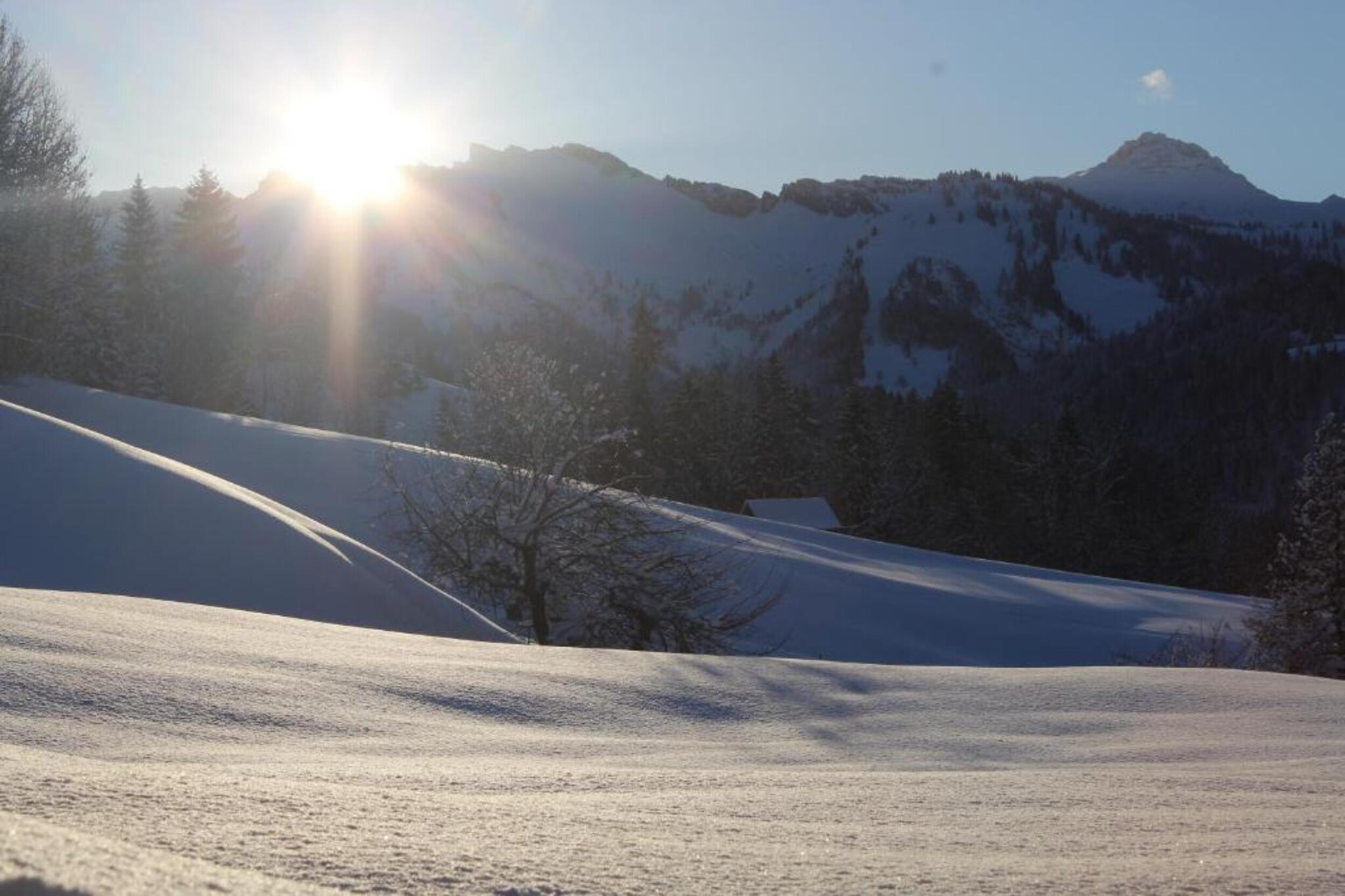 Chalet Steffko-Gebied winter 20km