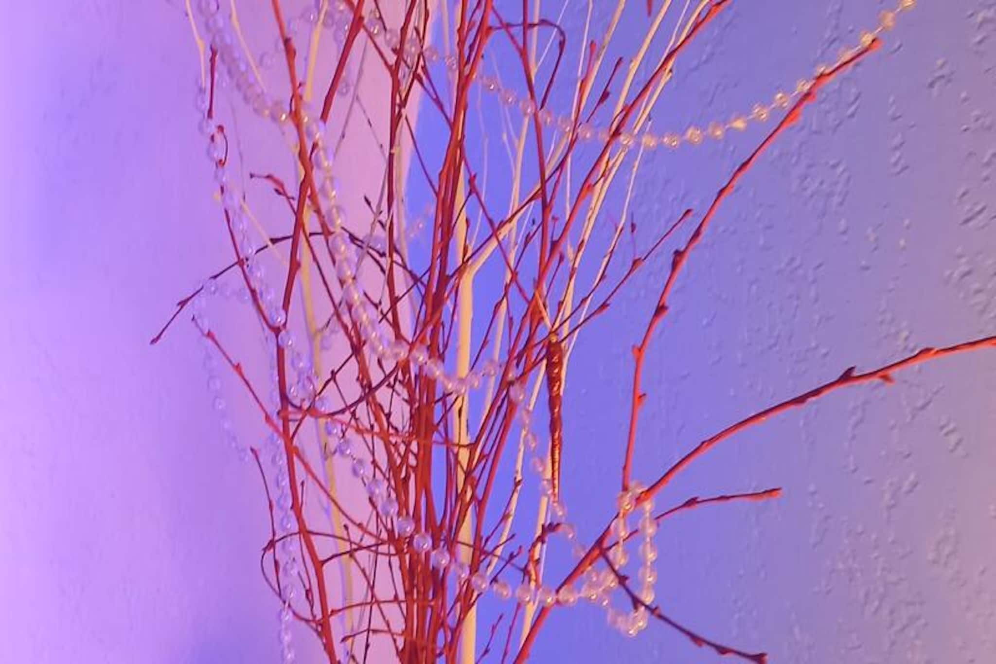 Résidence Les Embruns - maeva Home-Image-tags.