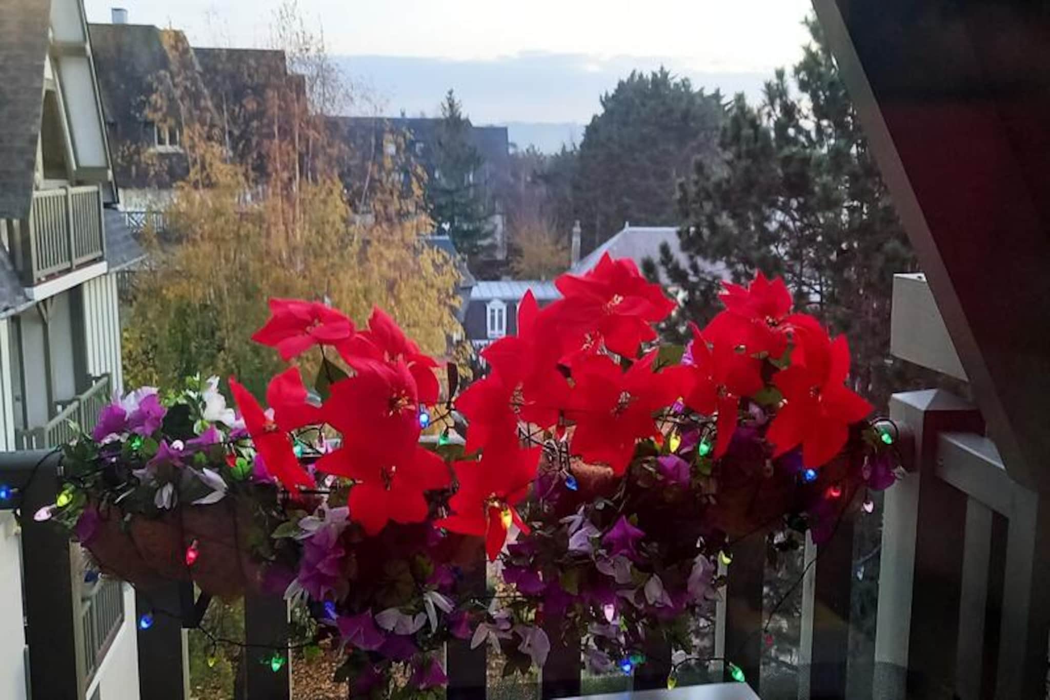 Résidence Les Embruns - maeva Home-Image-tags.