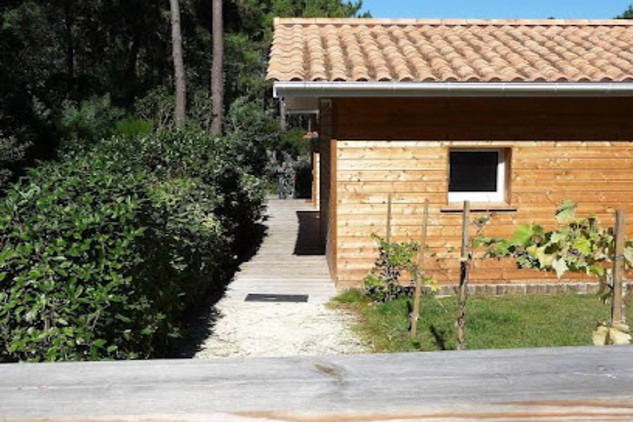 Apartment in Lacanau near Ocean Beaches