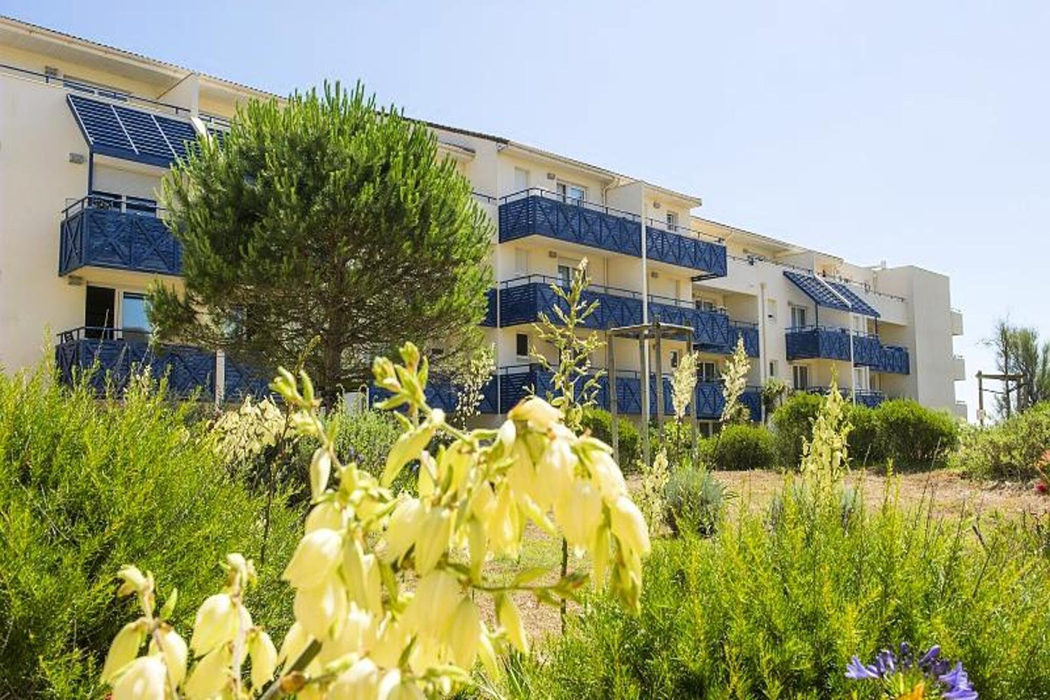 Apartment in Lacanau near Atlantic Ocean