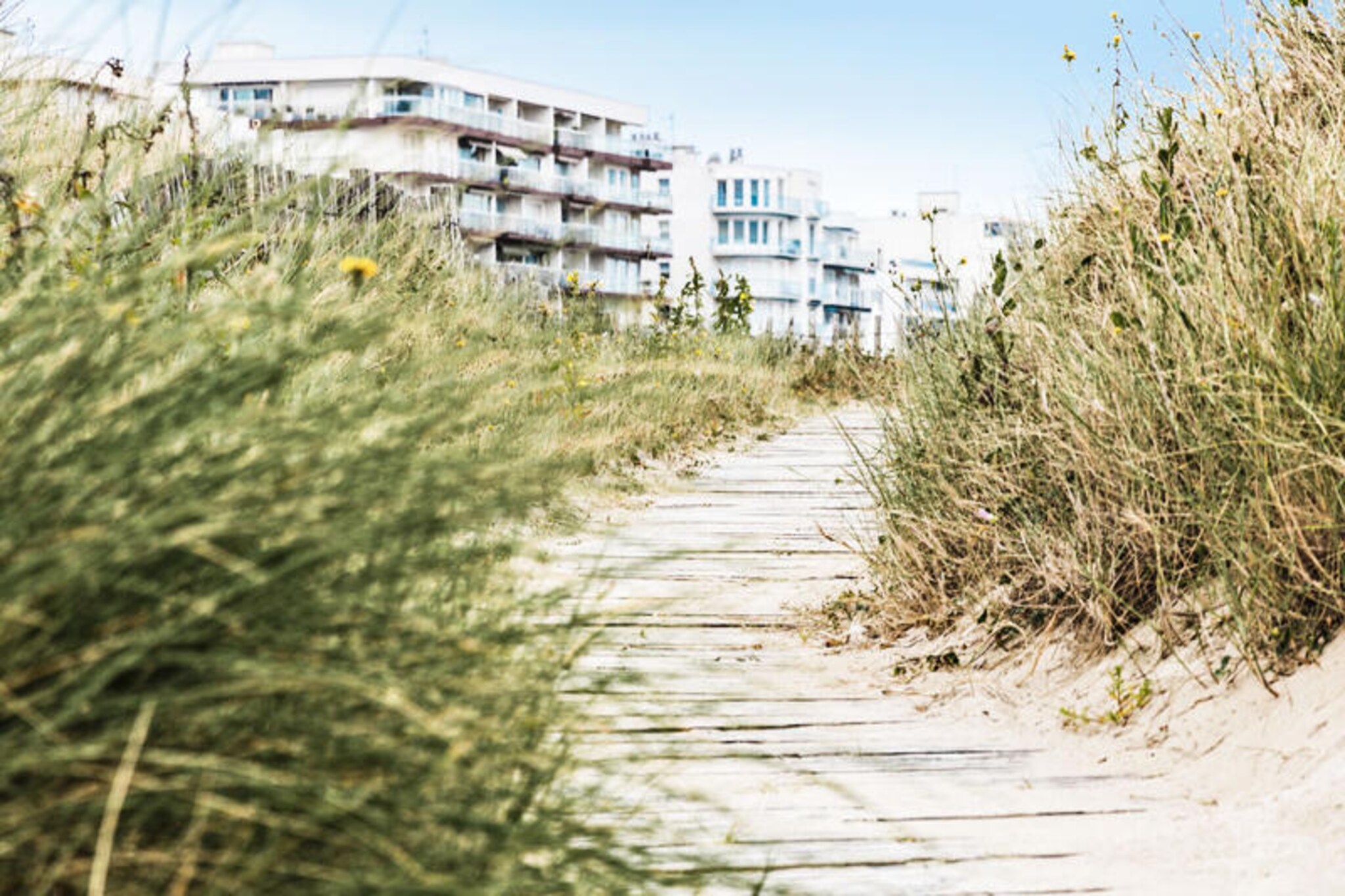 This cozy apartment in the Les Ocיanes residence is just 20 meters from the beach, offering direct access to the water. It features a living room with a new sofa bed (sleeps 2), a cabin area with 2 single bunk beds, and a furnished balcony with a sea view. The apartment includes a bathroom with a shower and separate toilet. Pets are allowed for an additional fee, and parking is provided. The residence offers an elevator and bicycle storage for convenience.
The property is close to a variety of attractions, including water activities, a Casino, golf courses, and a tennis club. The thalassotherapy center is within walking distance, providing wellness services. Shops and restaurants are only 600 meters away, and guests can enjoy preferential rates at the nearby Valdys Thalassotherapy center with the maeva Home keys or flyer.
The apartment includes an open kitchen, dining table for 4, TV, and Wi-Fi (subject to availability). Additional amenities include a wellness center with hot tubs and sauna (with a fee). Bed linen, towels, and end-of-stay cleaning are available for an extra charge. A baby kit is available upon request, and a parking space is included.