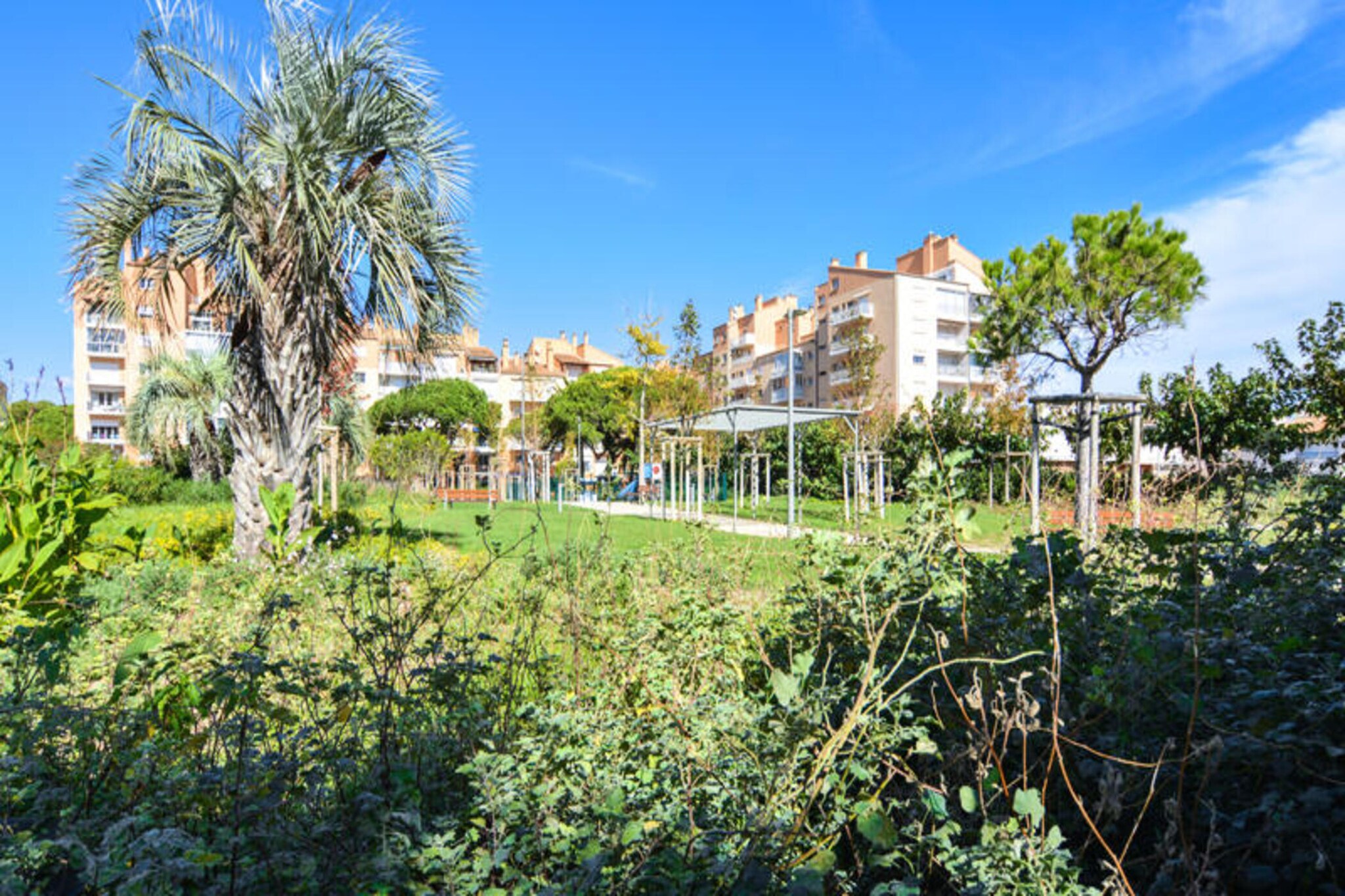 This vacation apartment in the Hyטres Parc residence is just 300 meters from the beach, offering a cozy and comfortable stay. It features a living room with a sofa bed (sleeps 2), a cabin area with a bunk bed (2 beds), and a bathroom with a bathtub and shower. The apartment is pet-friendly, with an additional charge for pets. Bed linen and bathroom linen are available for an extra fee. A deposit of €400 is required upon arrival.
Located 150 meters from the marina and local shops, the apartment is ideal for cyclists and boaters. The famous Golden Islands—Porquerolles, Port-Cros, and Le Levant—are easily accessible. With its central location, the residence is perfect for exploring nearby attractions, cafes, and enjoying outdoor activities.
The open kitchen area is equipped for preparing meals, and the apartment includes a dining table with four chairs. A private balcony offers a relaxing spot to unwind. Additional services such as babysitting are available for an extra charge, and end-of-stay cleaning is mandatory, payable at check-in.