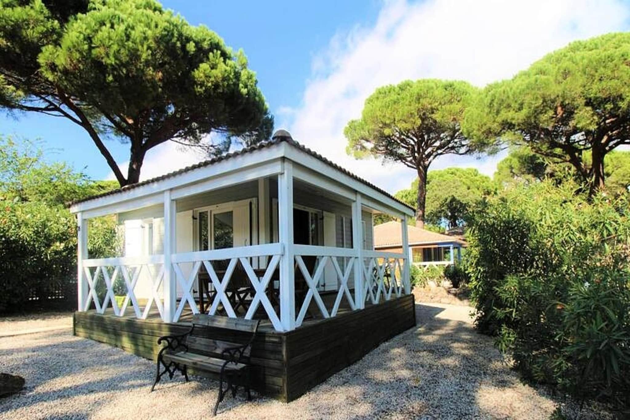 Résidence Parc Oasis-Extérieur été