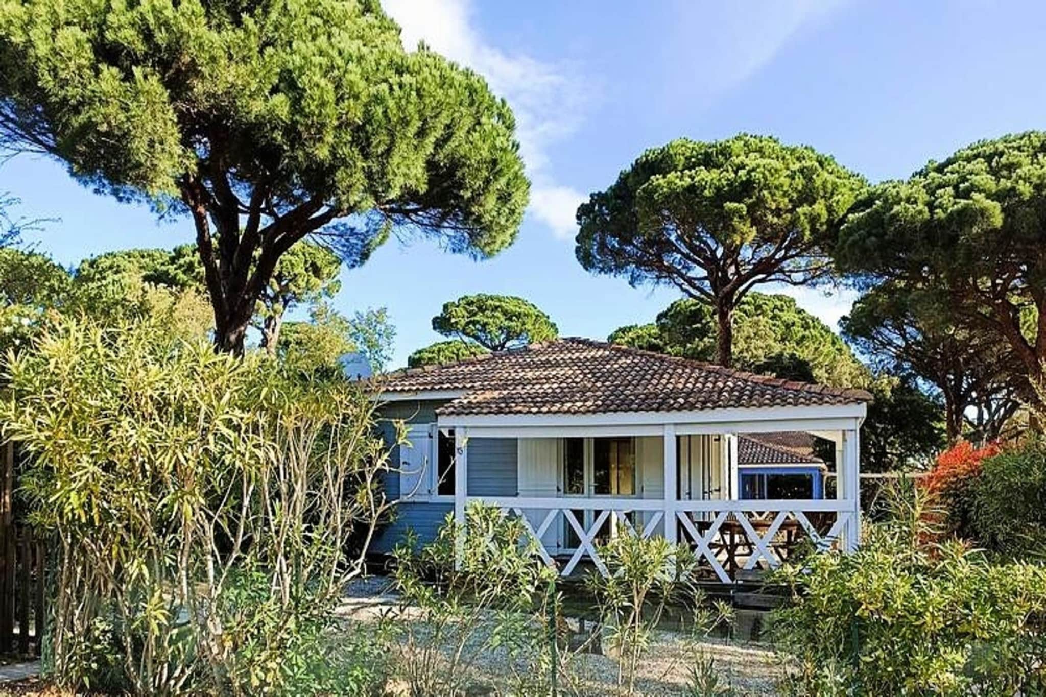 Résidence Parc Oasis-Extérieur été